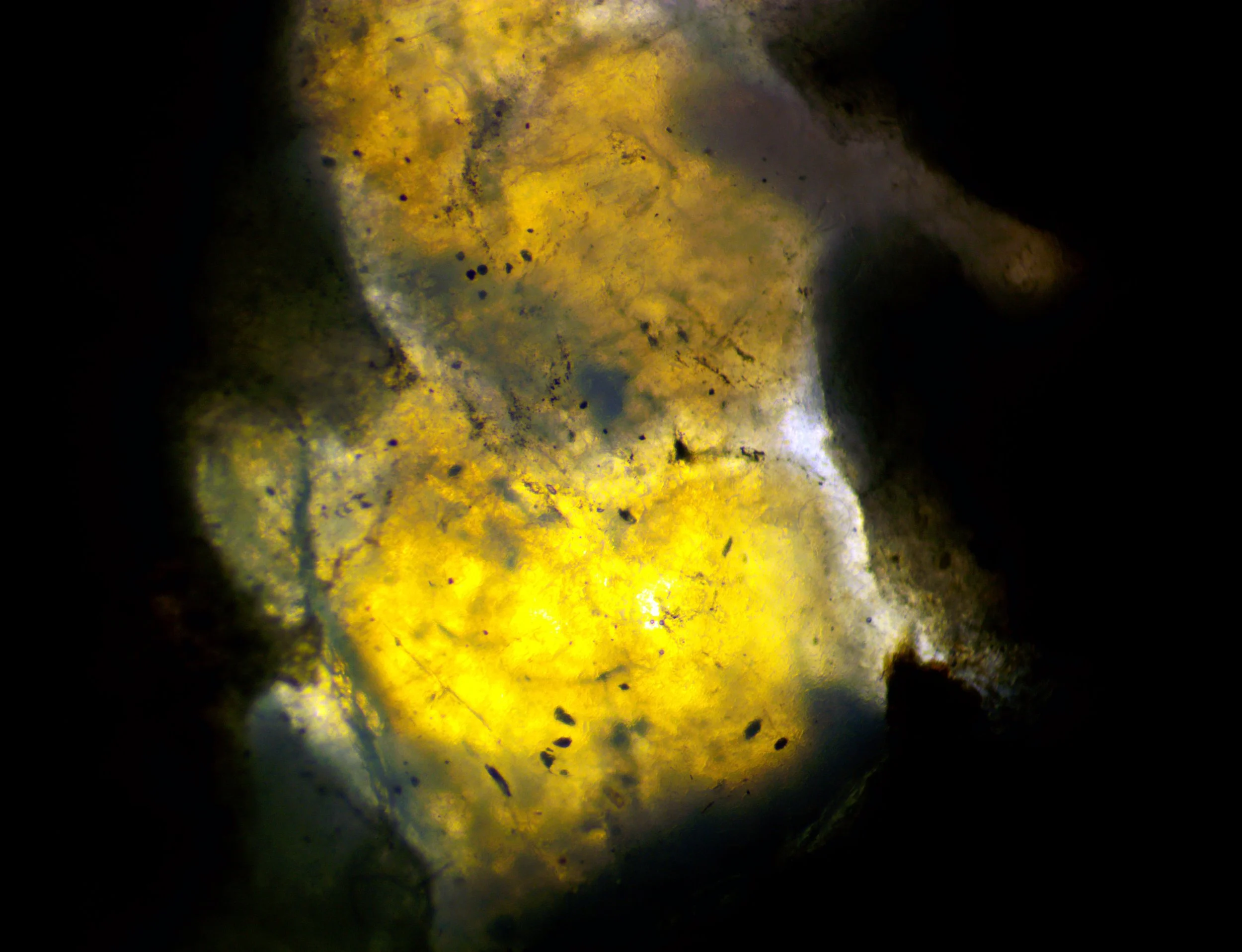 The polished section of the Albești metagranite (Romania) from the previous image, showing the color change in transmitted light.