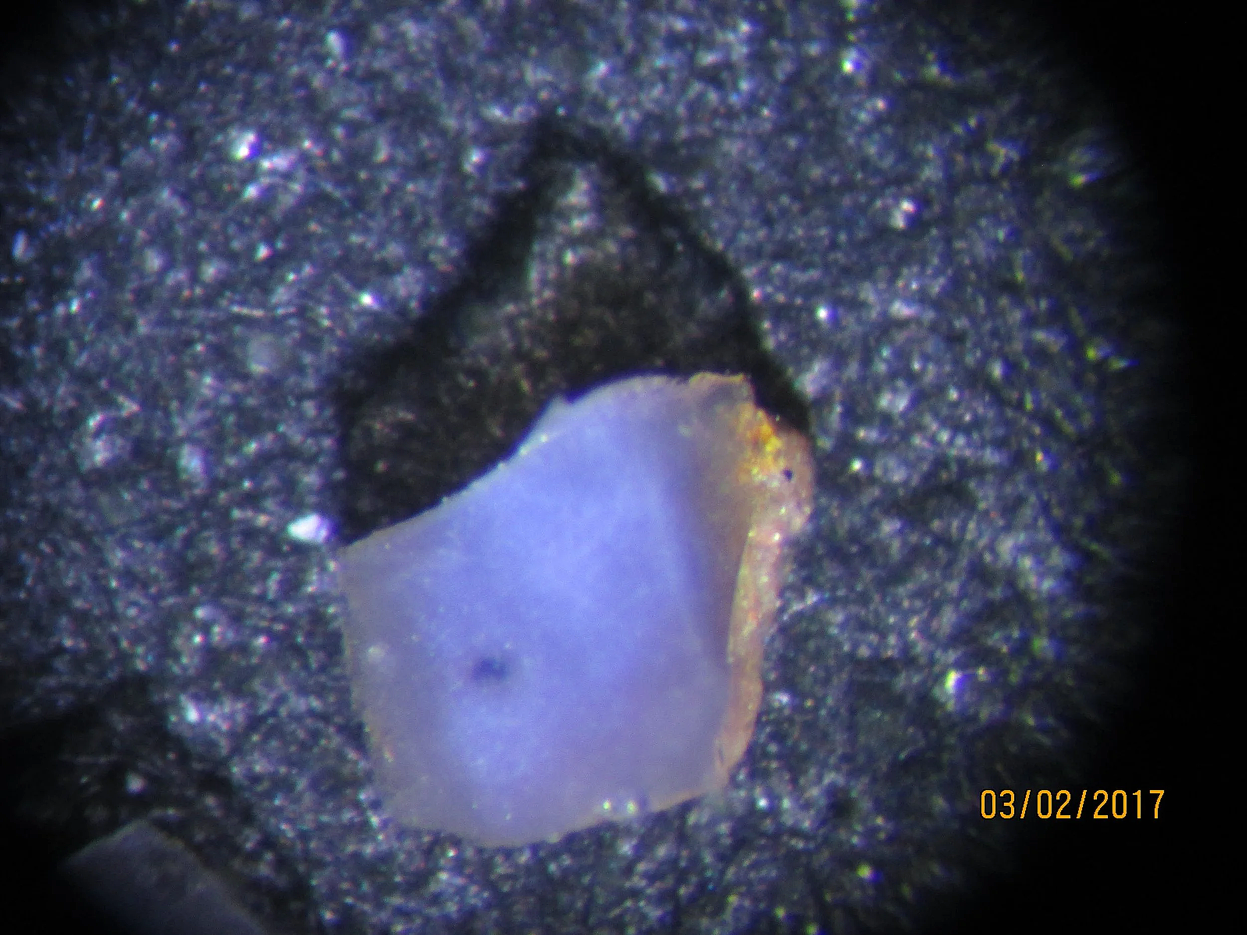 A grain of blue quartz from the Llano rhyolite (Texas, USA).