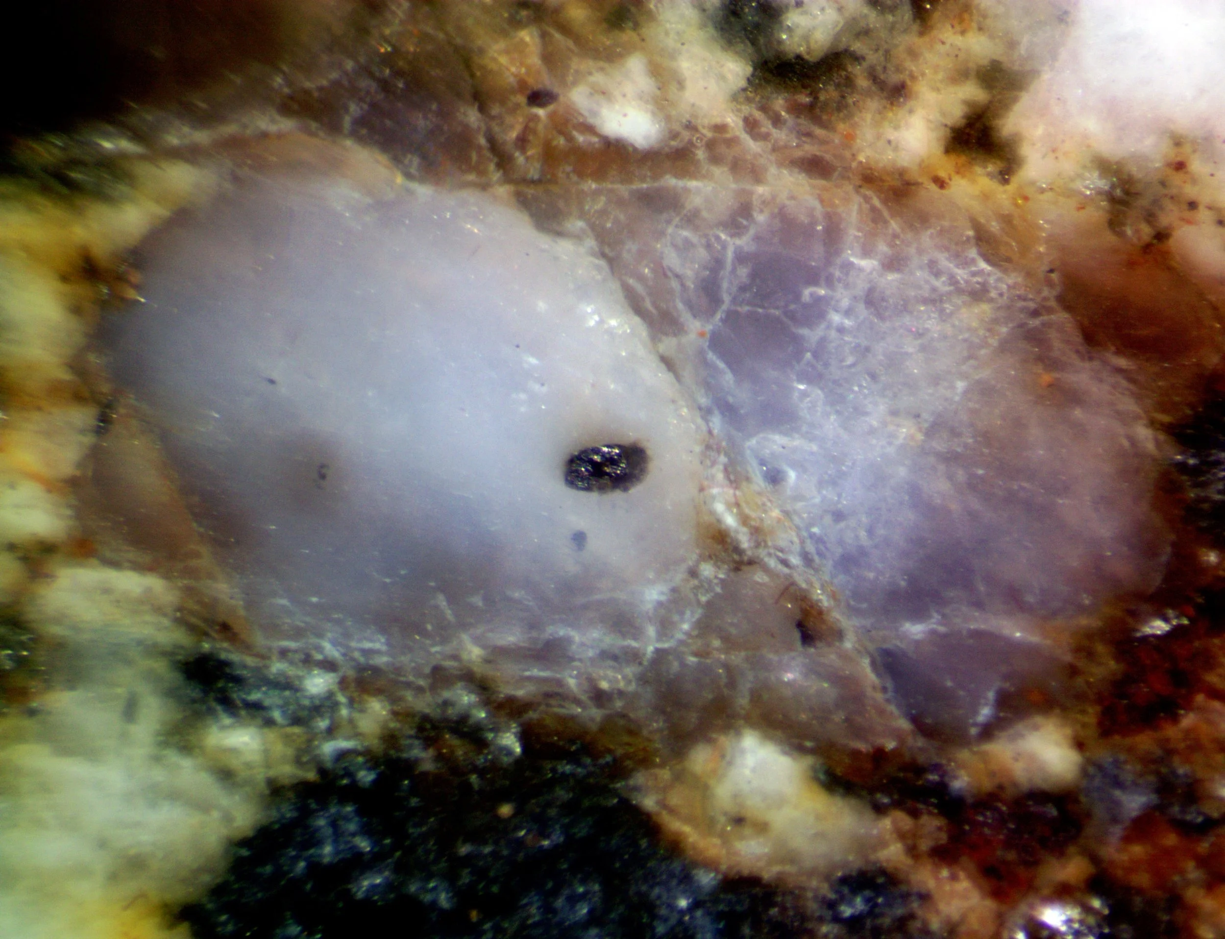 Polished section of the Lalu granite (Romania).