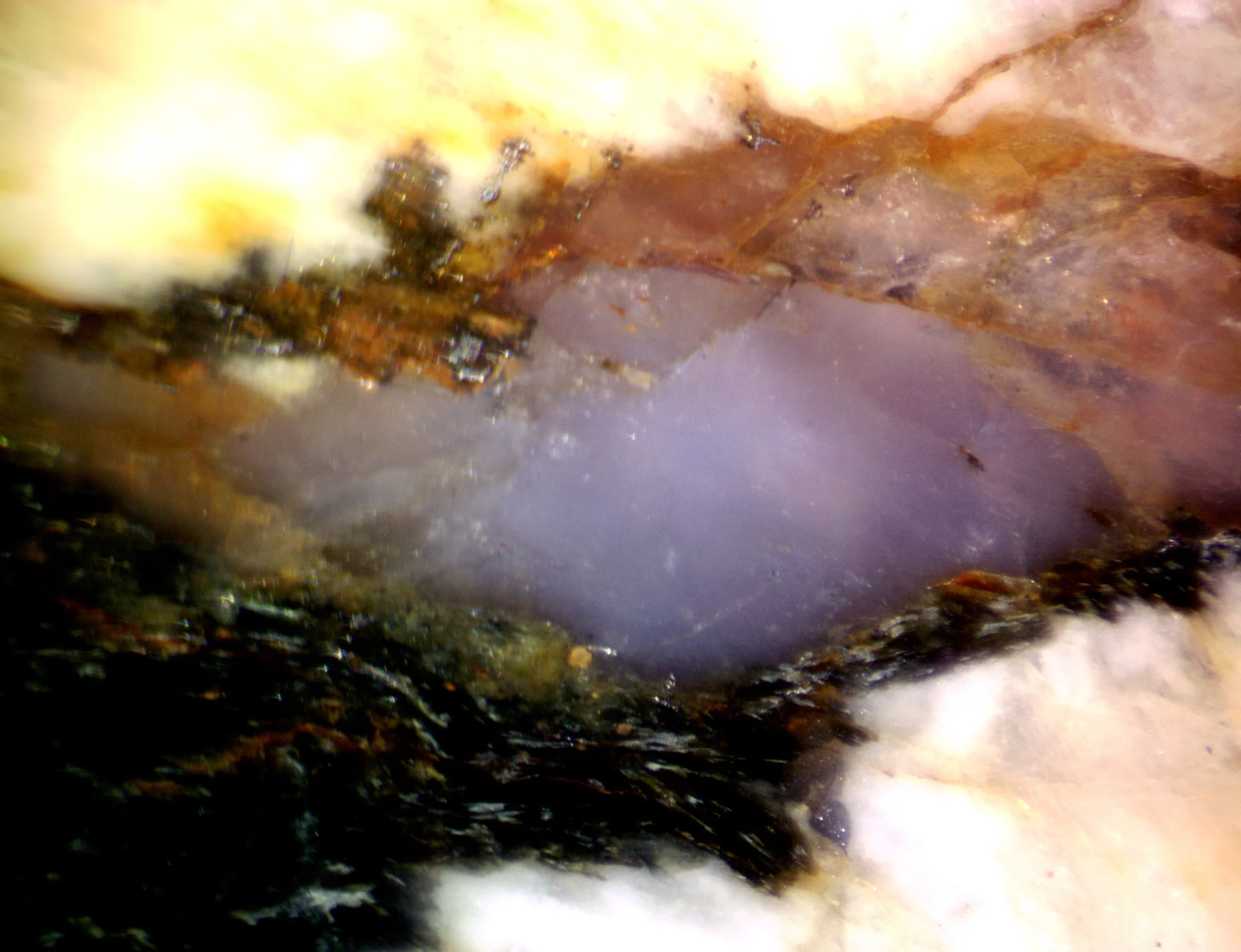 Polished section of the Lalu granite (Romania).