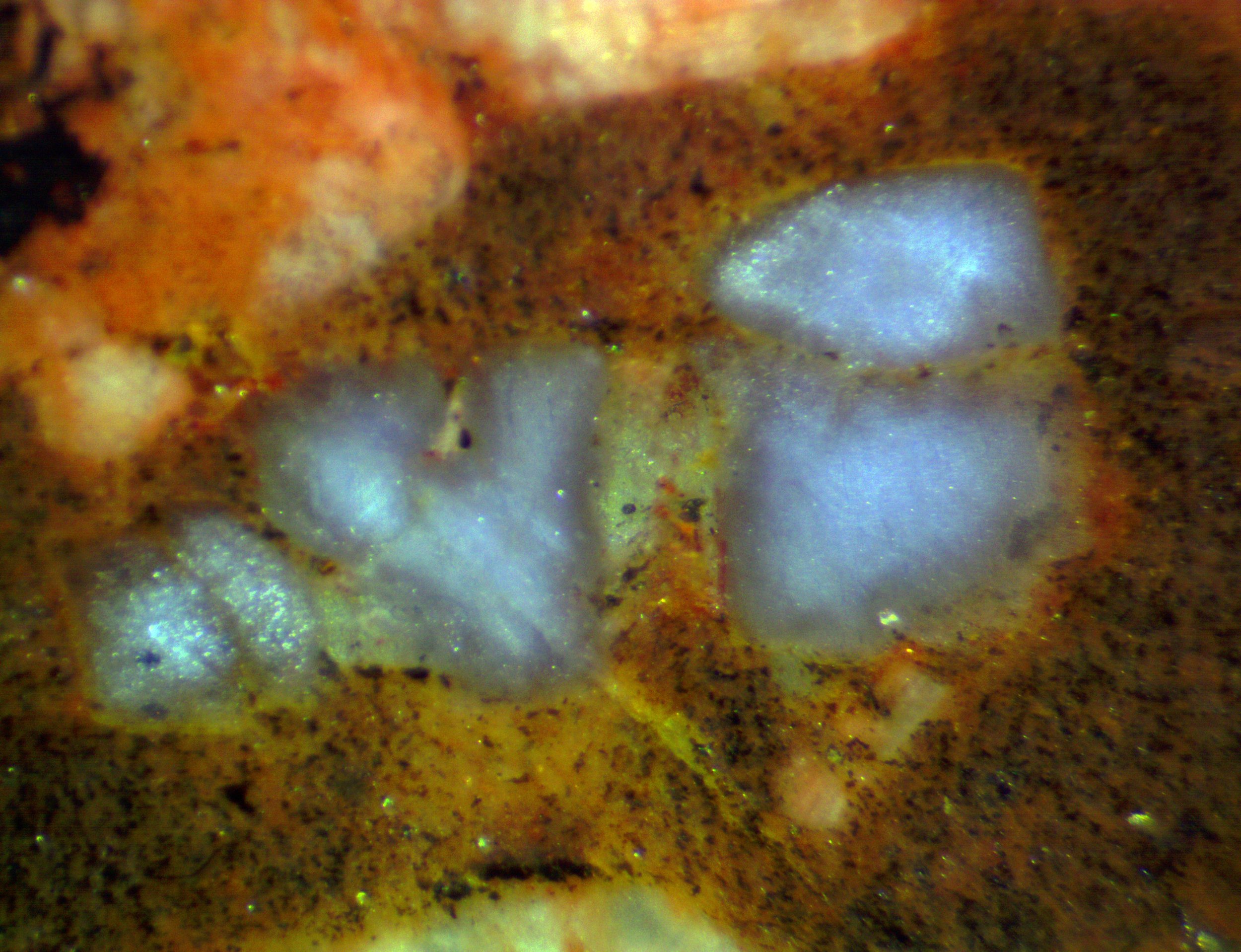 Polished section of the Llano rhyolite (Texas, USA).