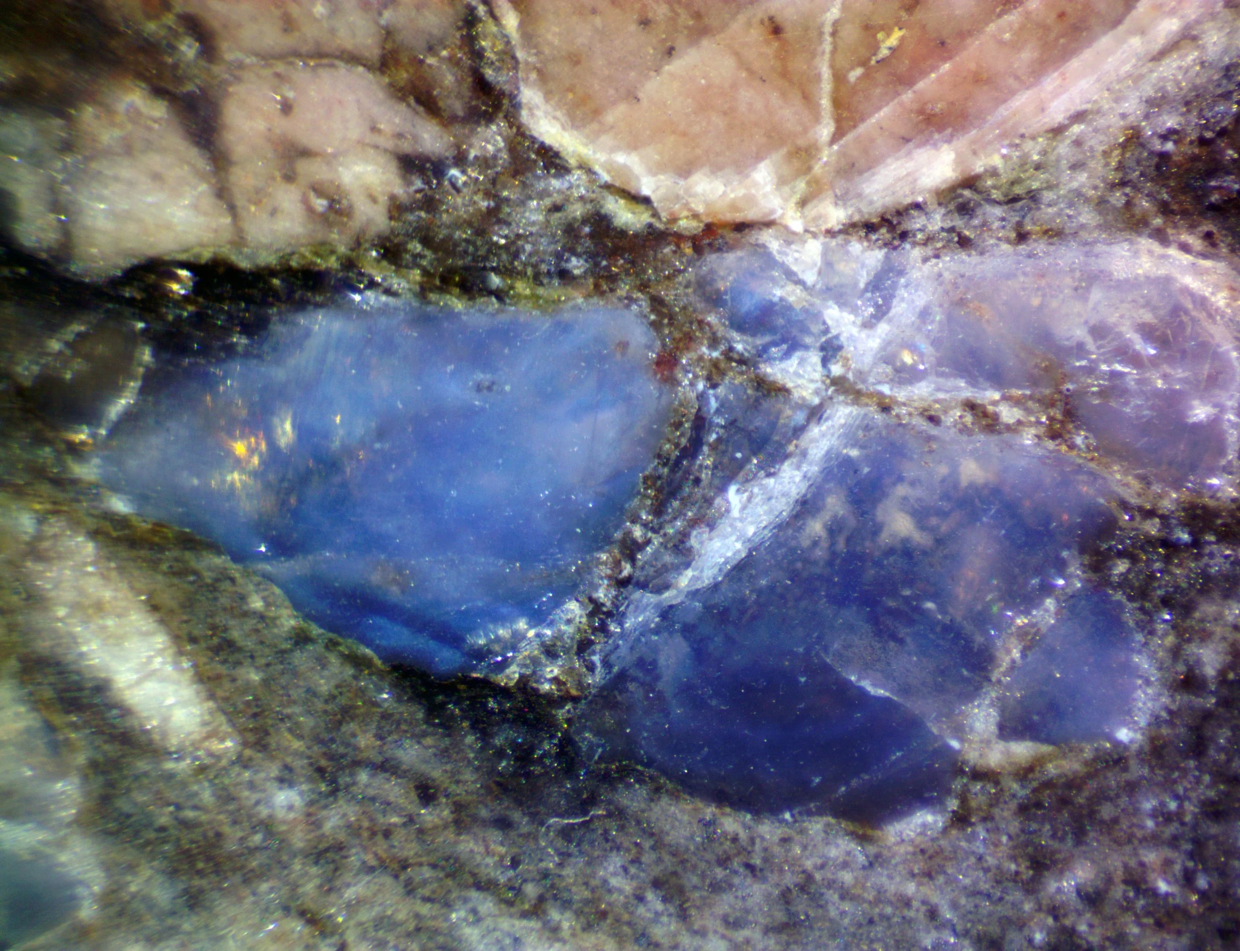 Polished section of the Rio dos Remédios alkali rhyolite (Bahia, Brazil).