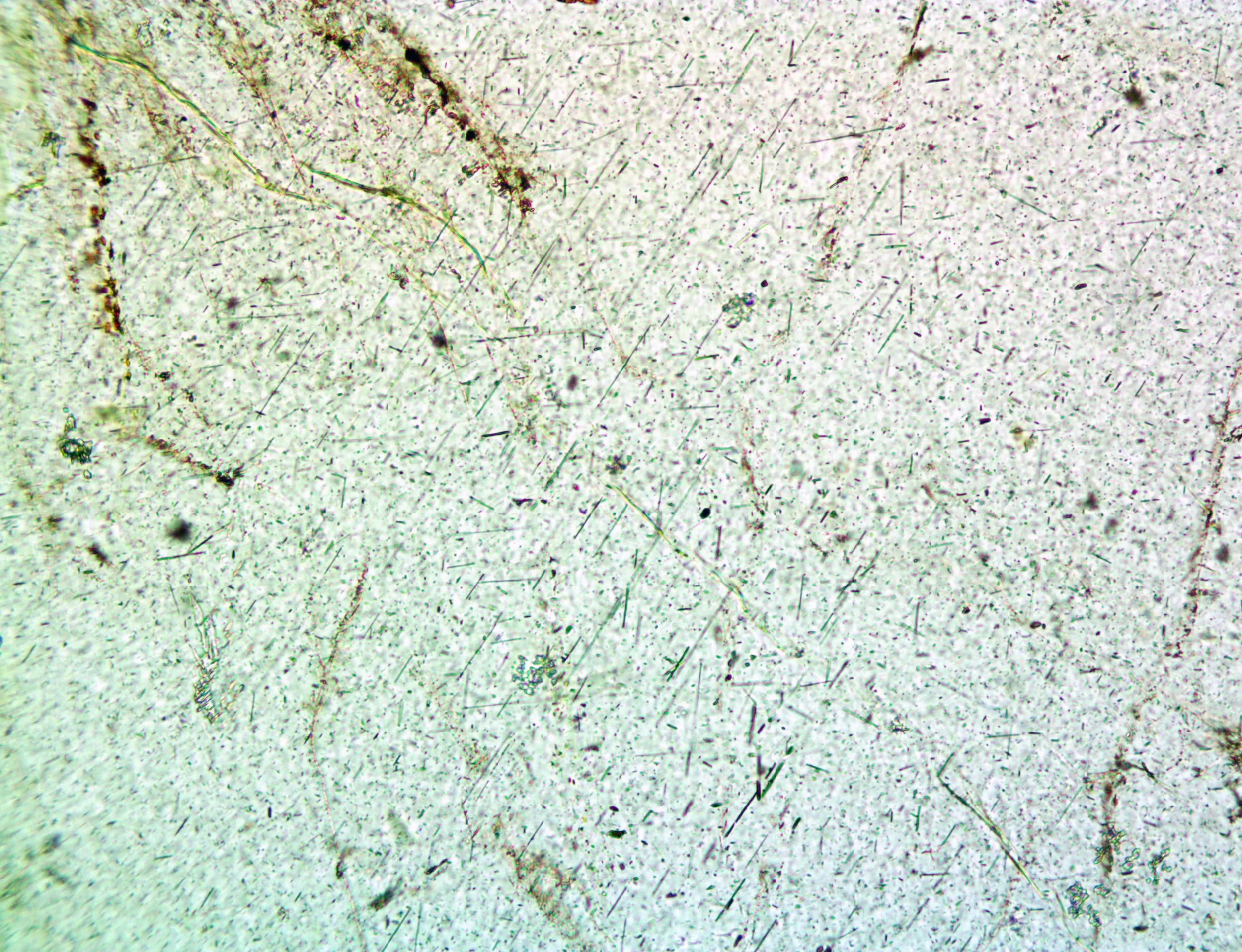 Microphotograph of a petrographic thin section showing exsolved rutile needles in the blue quart from the Milbank granite (South Dakota, USA).