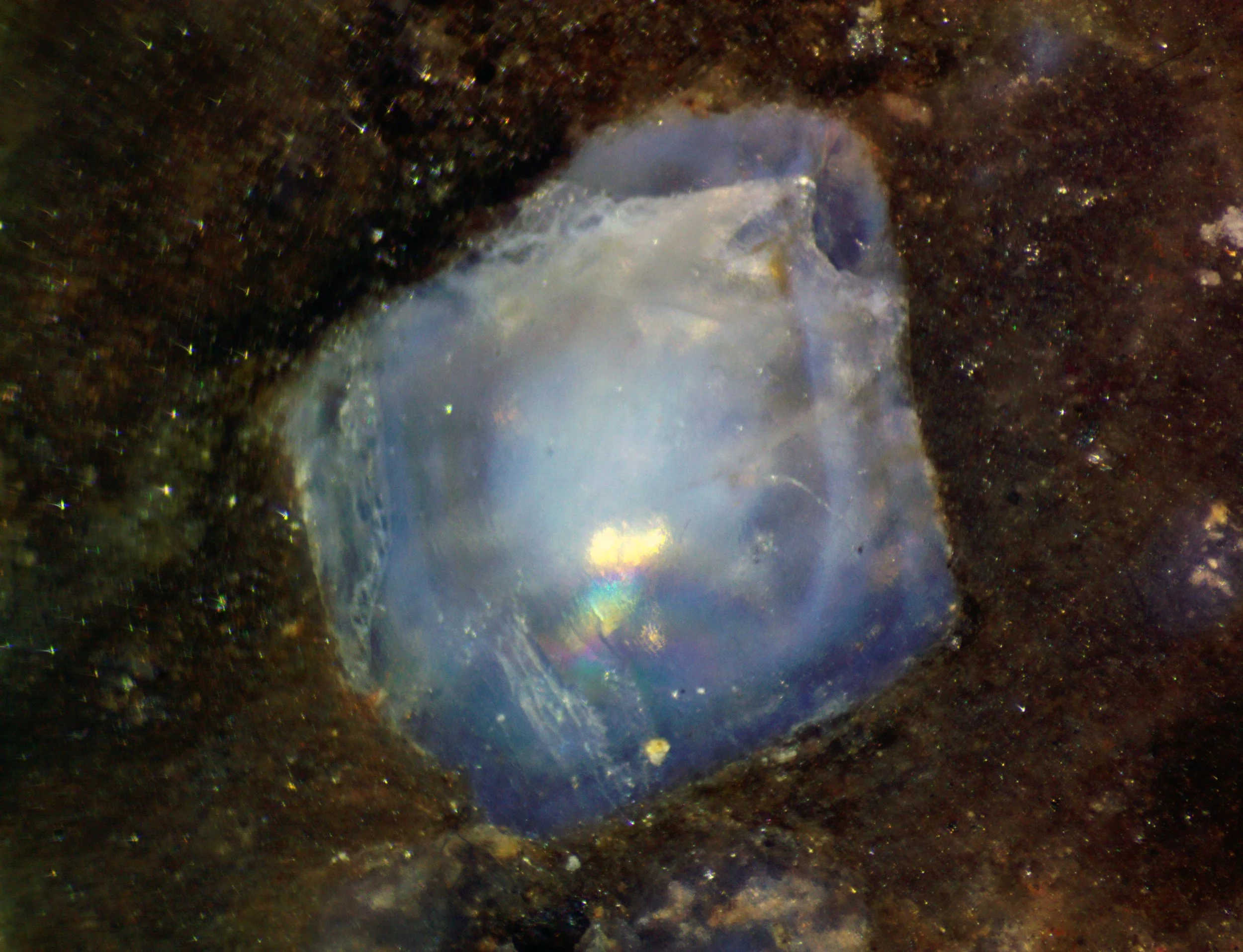 Polished section of the Rio dos Remédios metarhyolite (Bahia, Brazil) showing a blue quartz grain with multiple color zones.