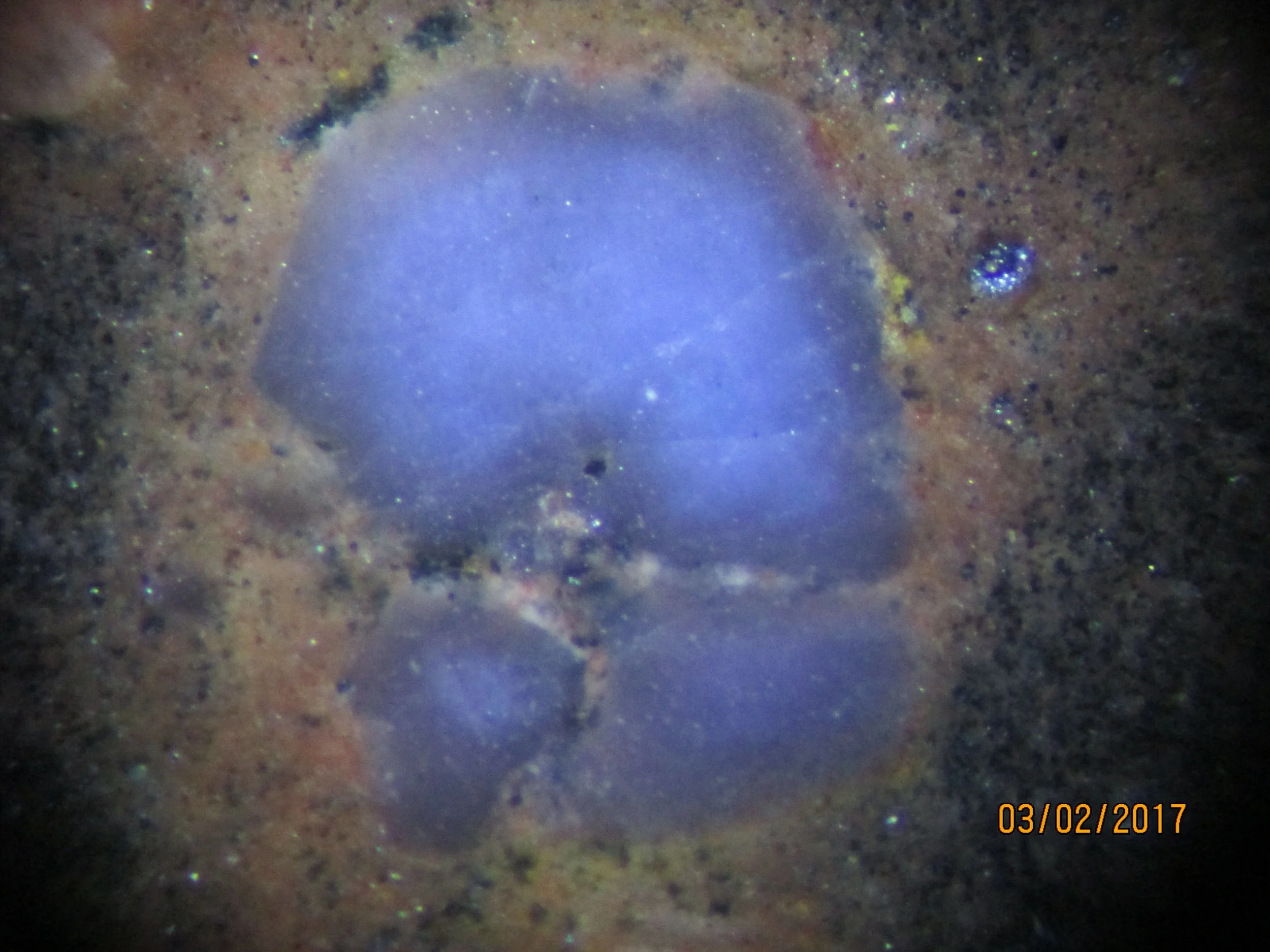 Polished section of the Llano rhyolite (Texas, USA). The next two photos show the same grain at various angles relative to the light source and its characteristic chatoyancy