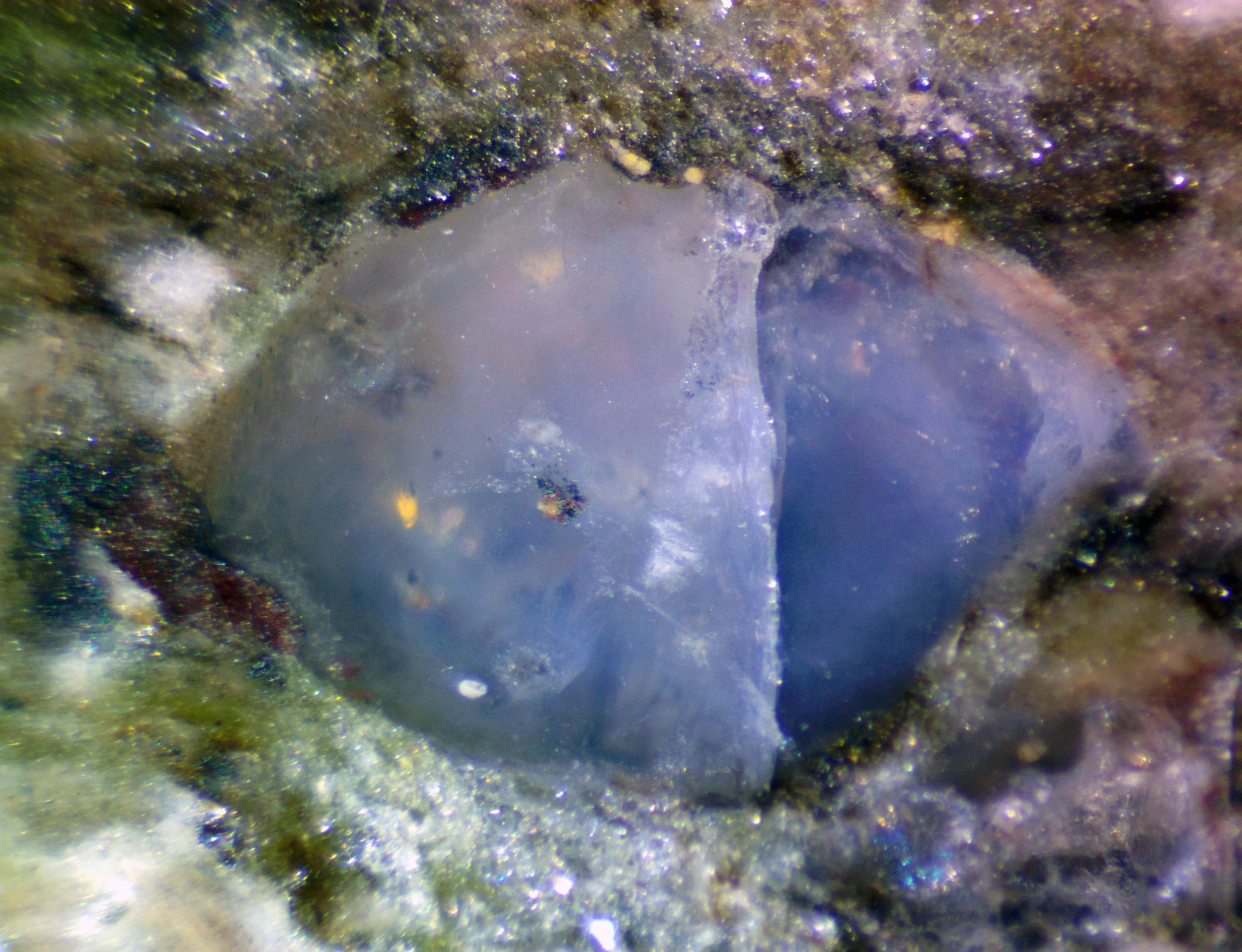 A blue quartz grain from a Rio dos Remédios metarhyolite (Bahia, Brazil) polished sample.