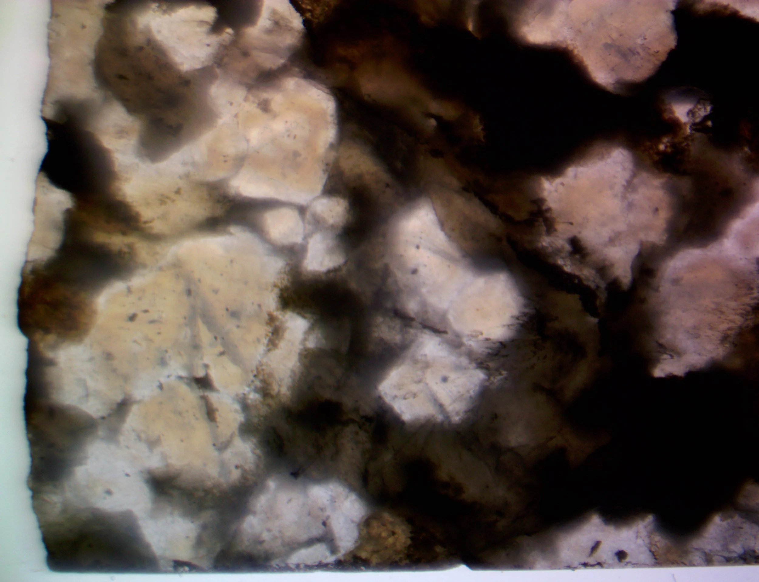 The polished section of the Albești metagranite (Romania) from the previous image, showing the color change in transmitted light.