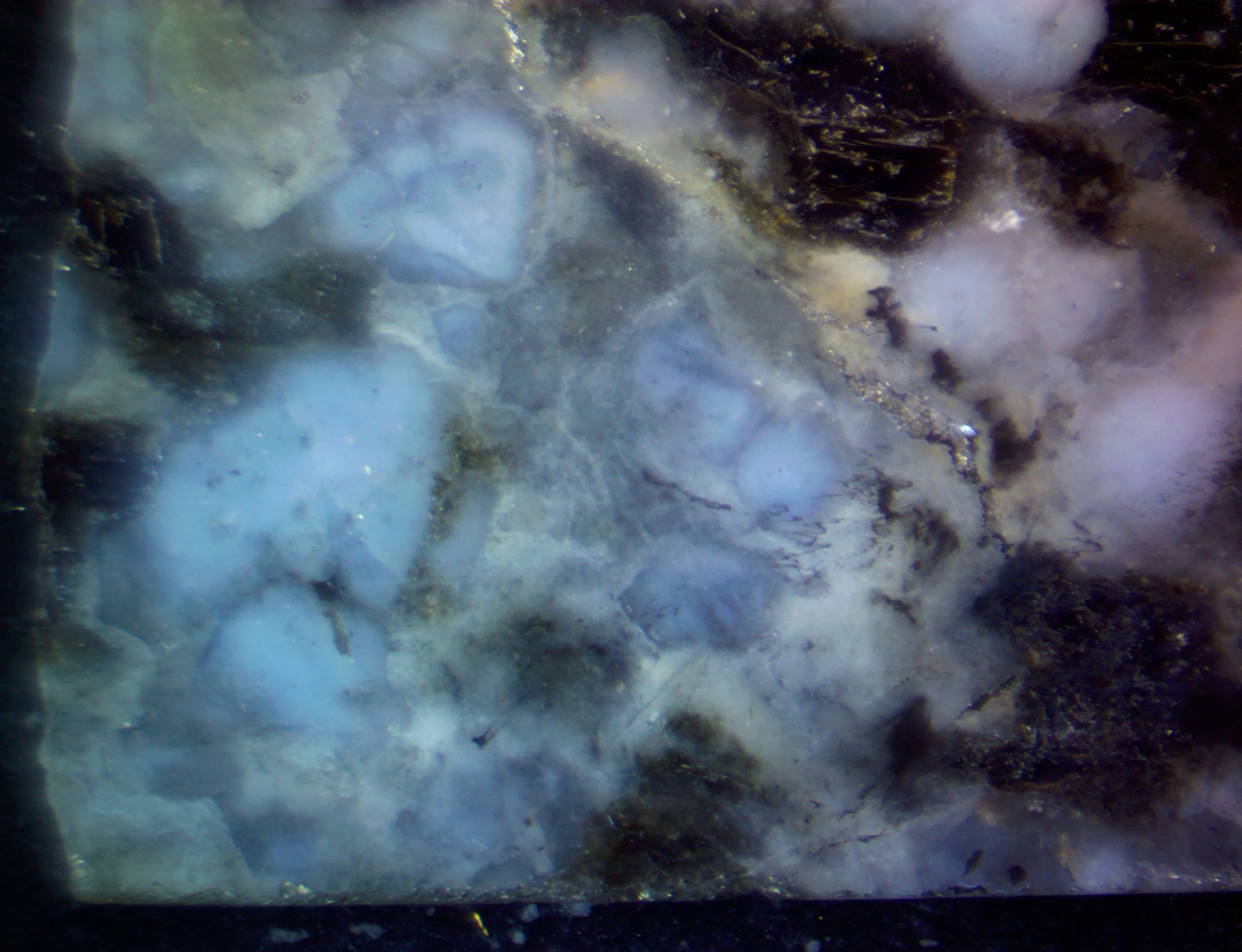 Polished section of the Albești metagranite (Romania) showing blue quartz with color zoning.