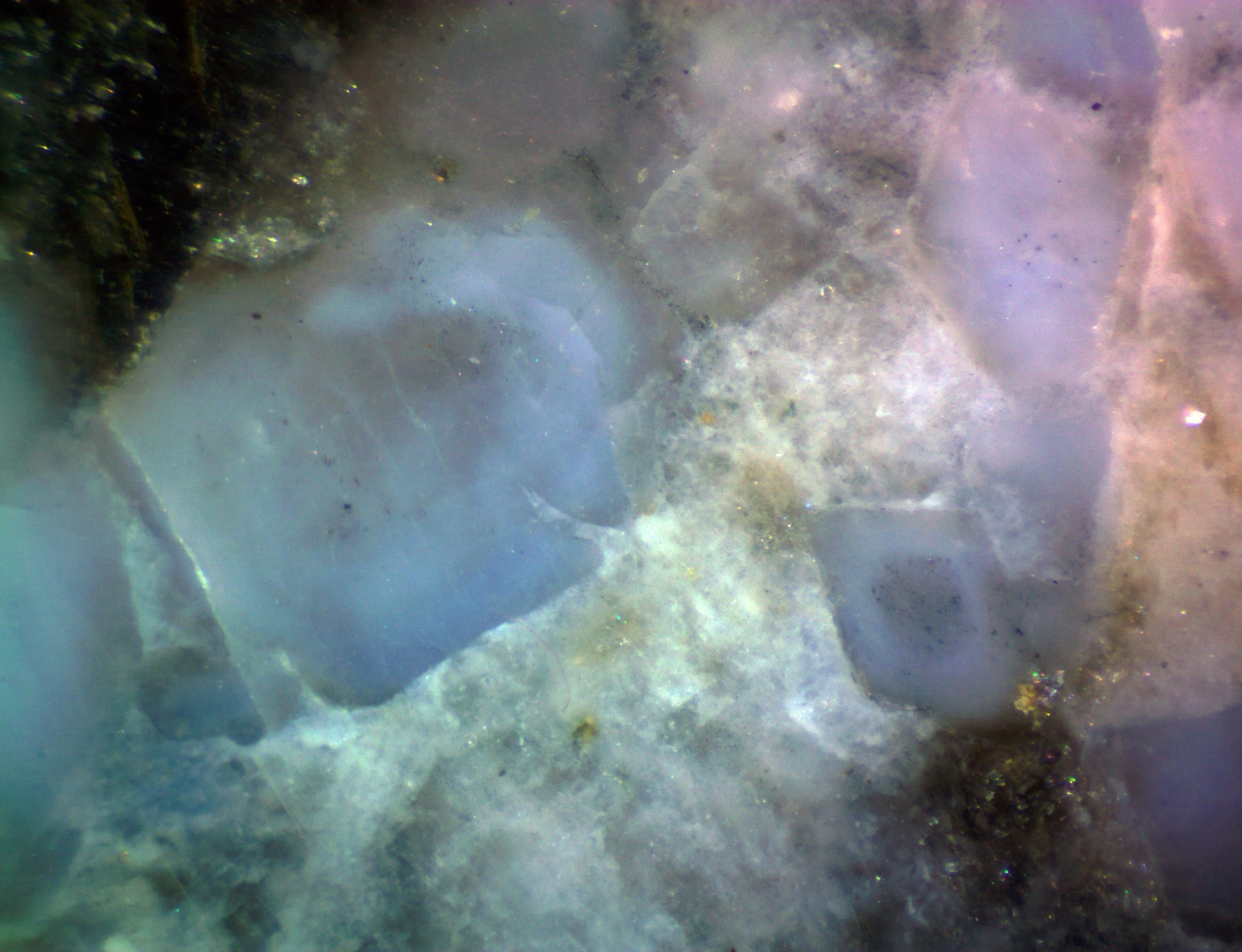 Polished section of the Albești metagranite (Romania) showing blue quartz with color zoning.