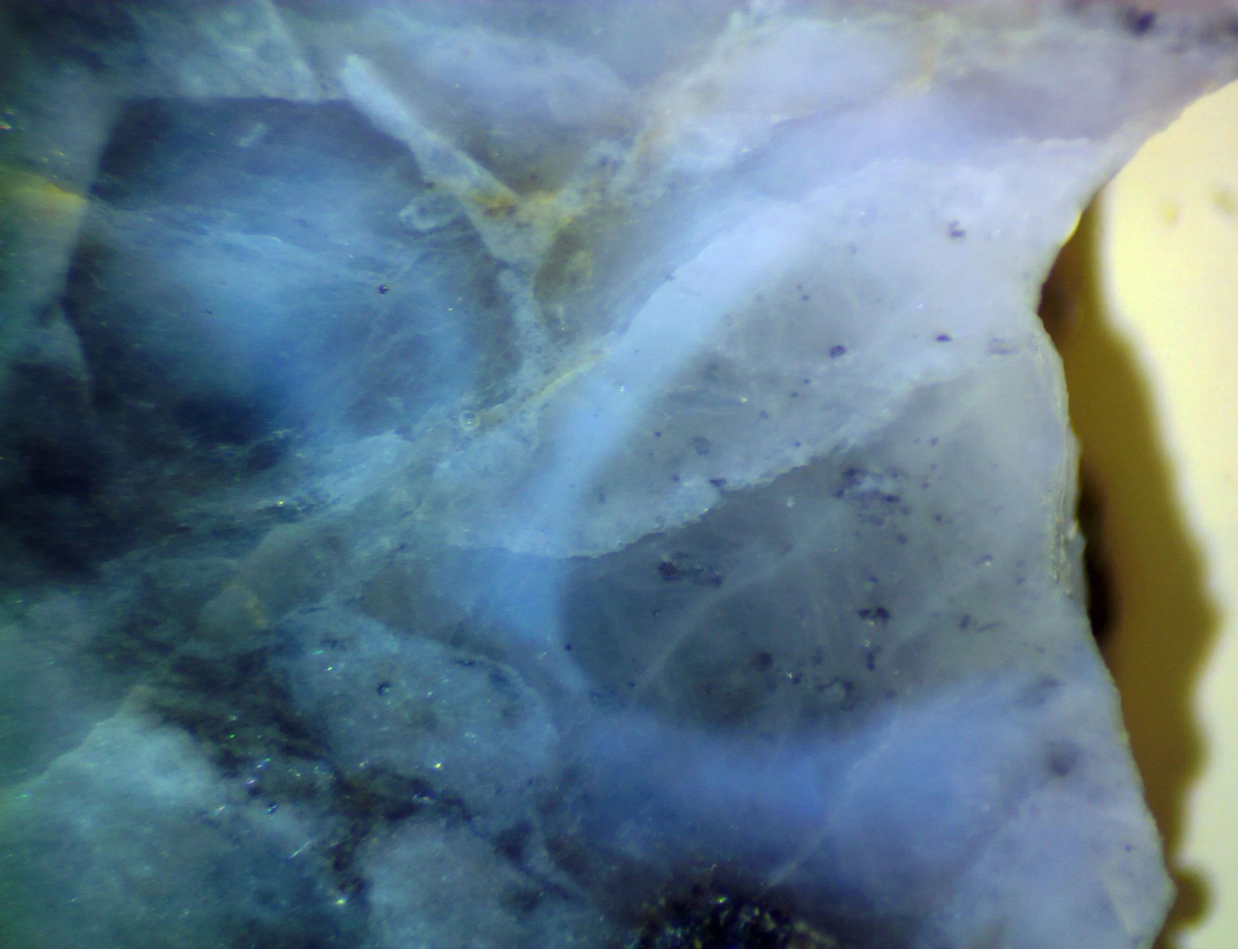 Polished section of the Albești metagranite (Romania) showing blue quartz with color zoning.