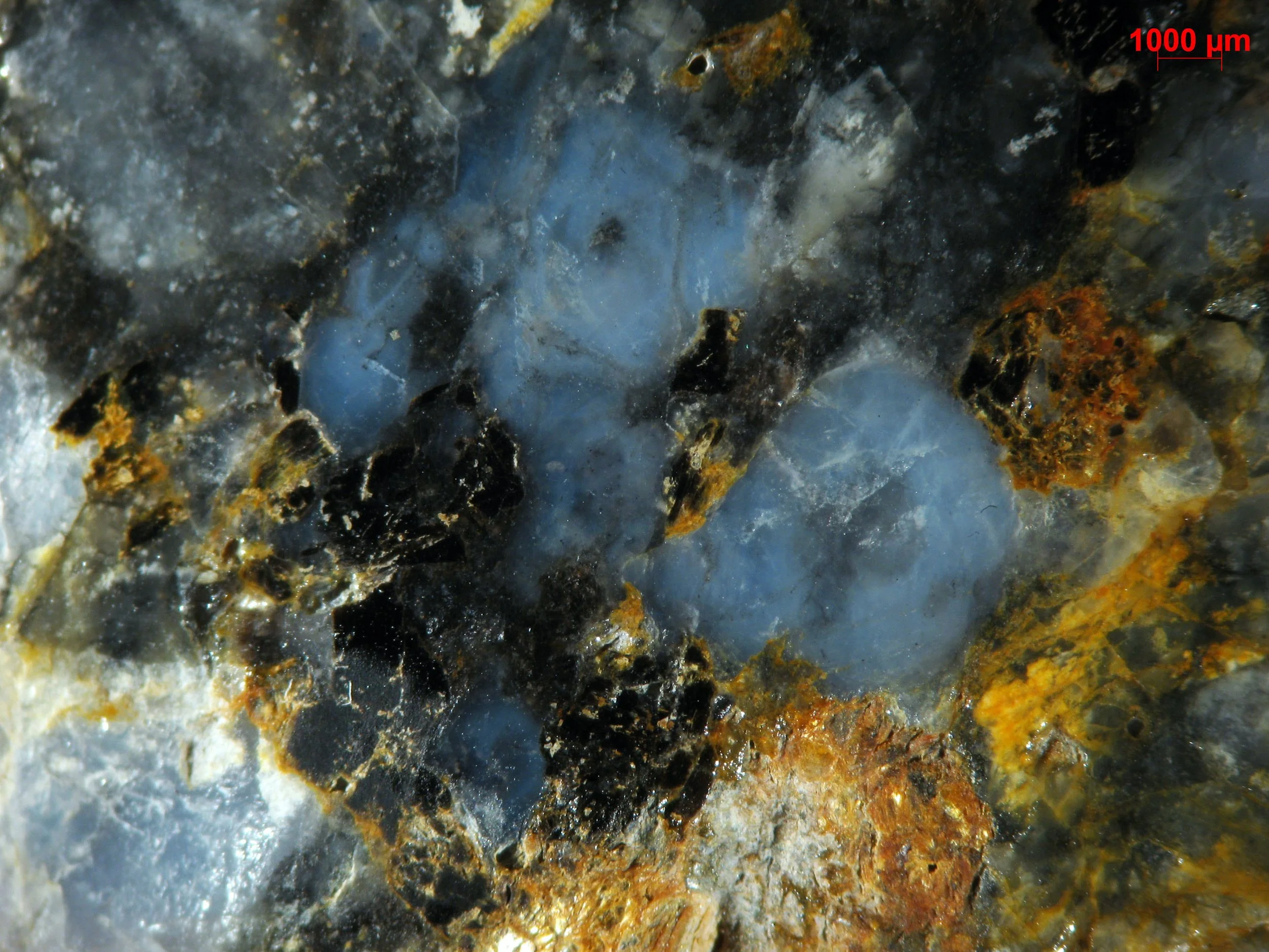 Polished section of the Albești metagranite (Romania) showing blue quartz with color zoning.