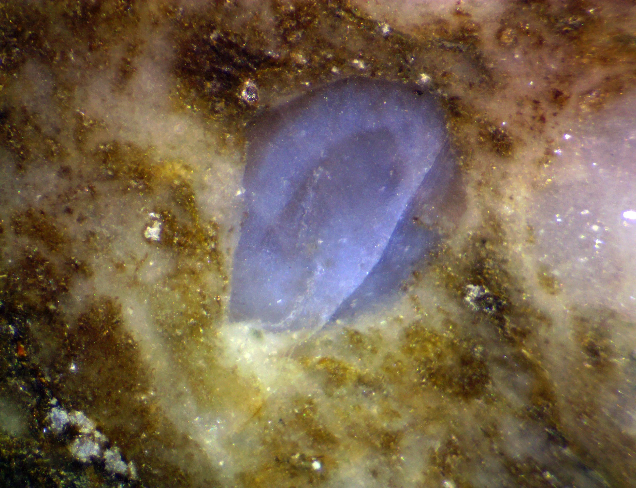 Polished section of the Pietrosu Bistriței porhyroid (Romania) showing blue quartz with color zoning.
