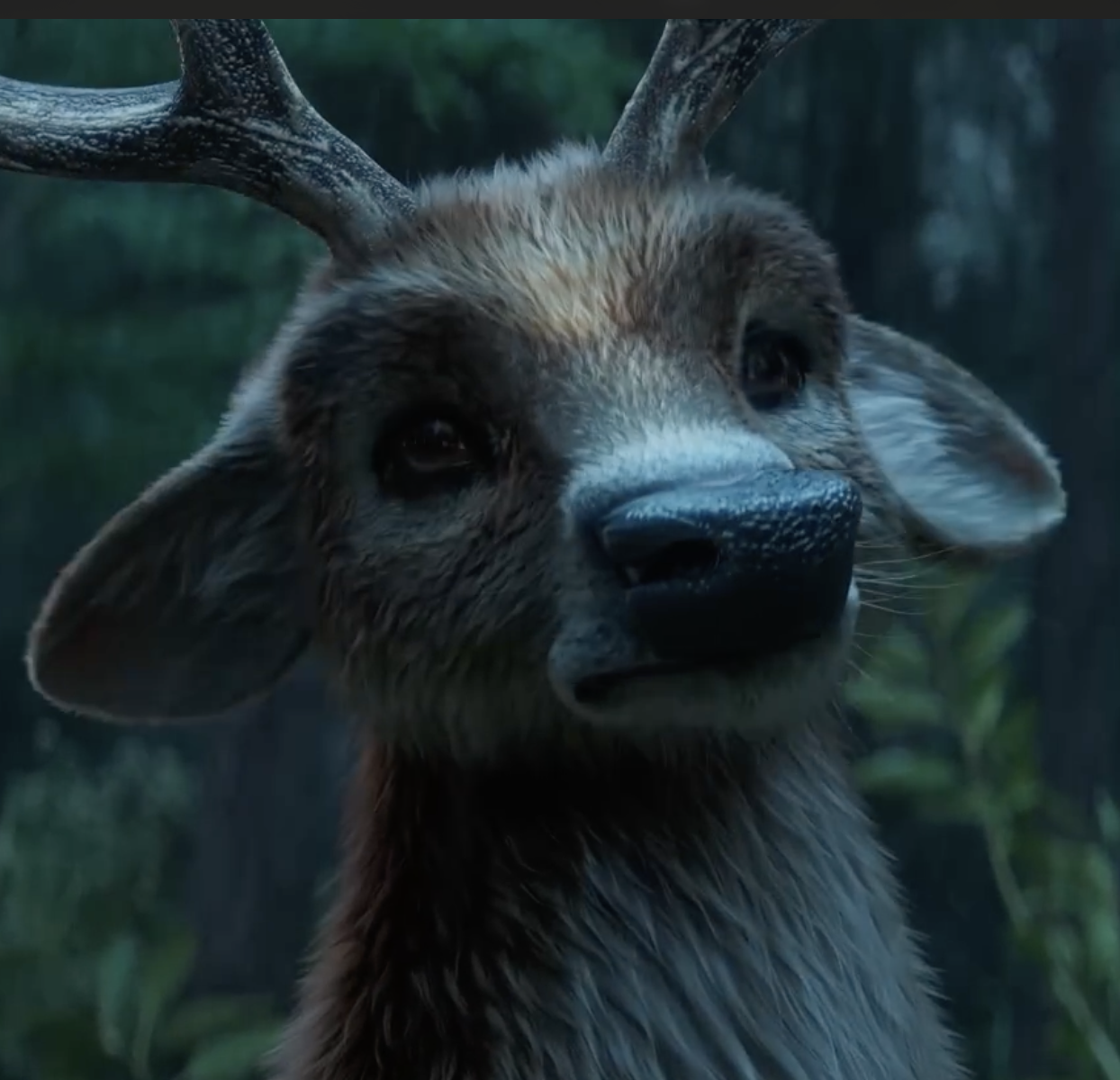 Related Video Item Thumbnail