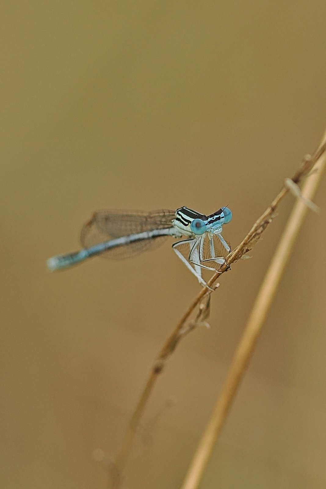 P7310274_ji_web.jpg