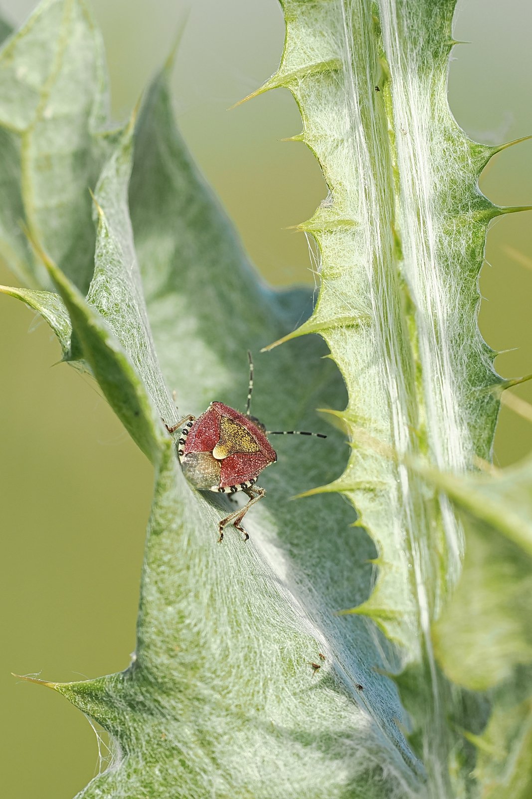 P6180834_ji_web.jpg
