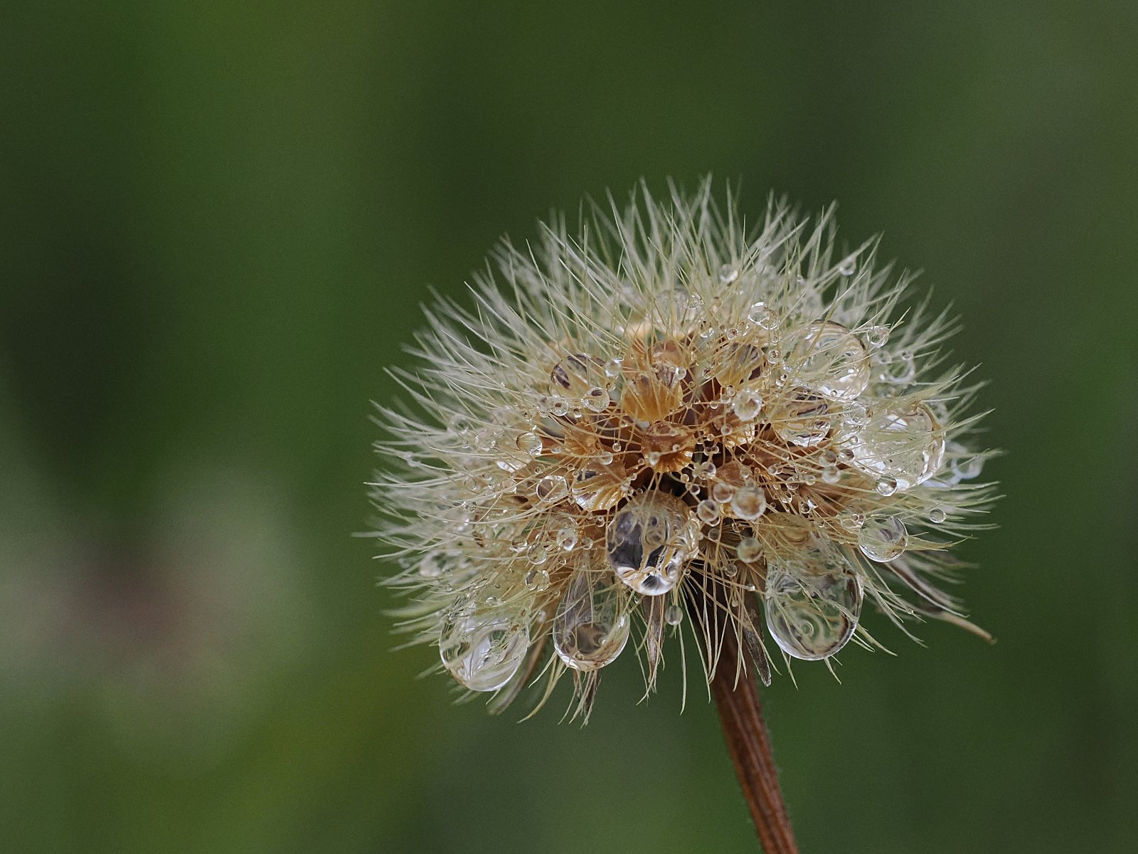 P9020018_ji_web.jpg