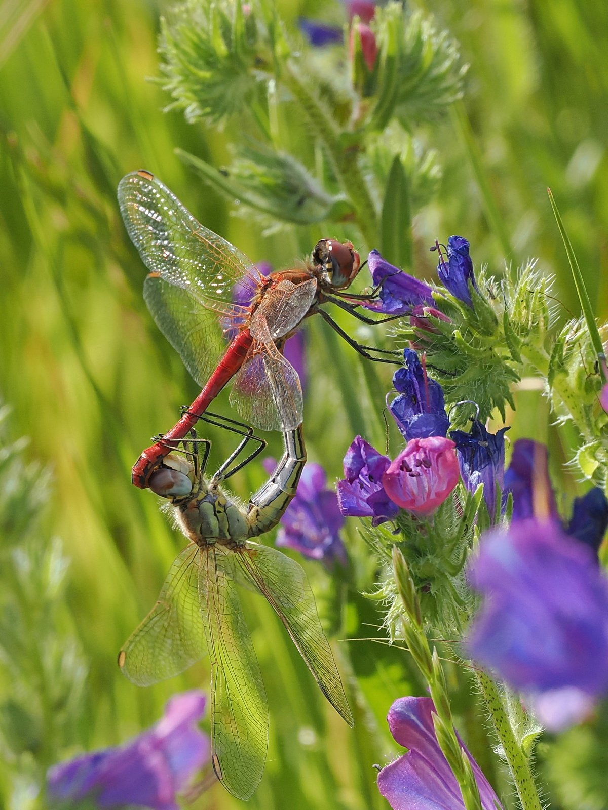 P9271693_ji_web.jpg