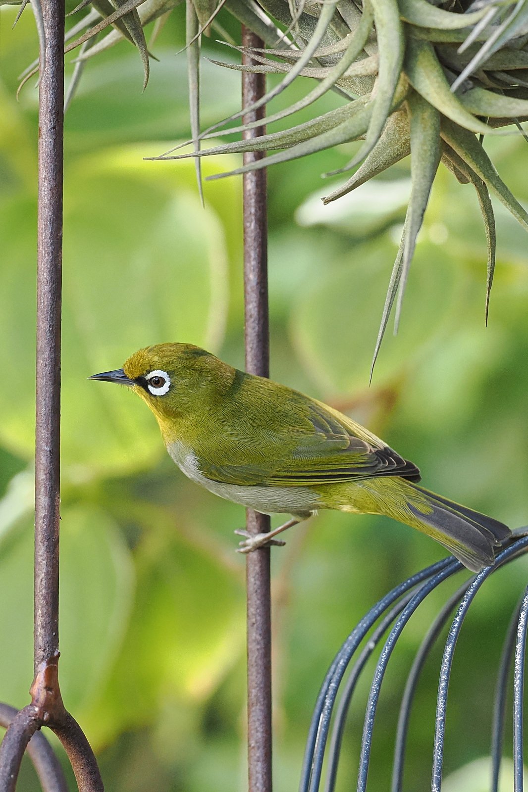 P9260367_ji_web.jpg