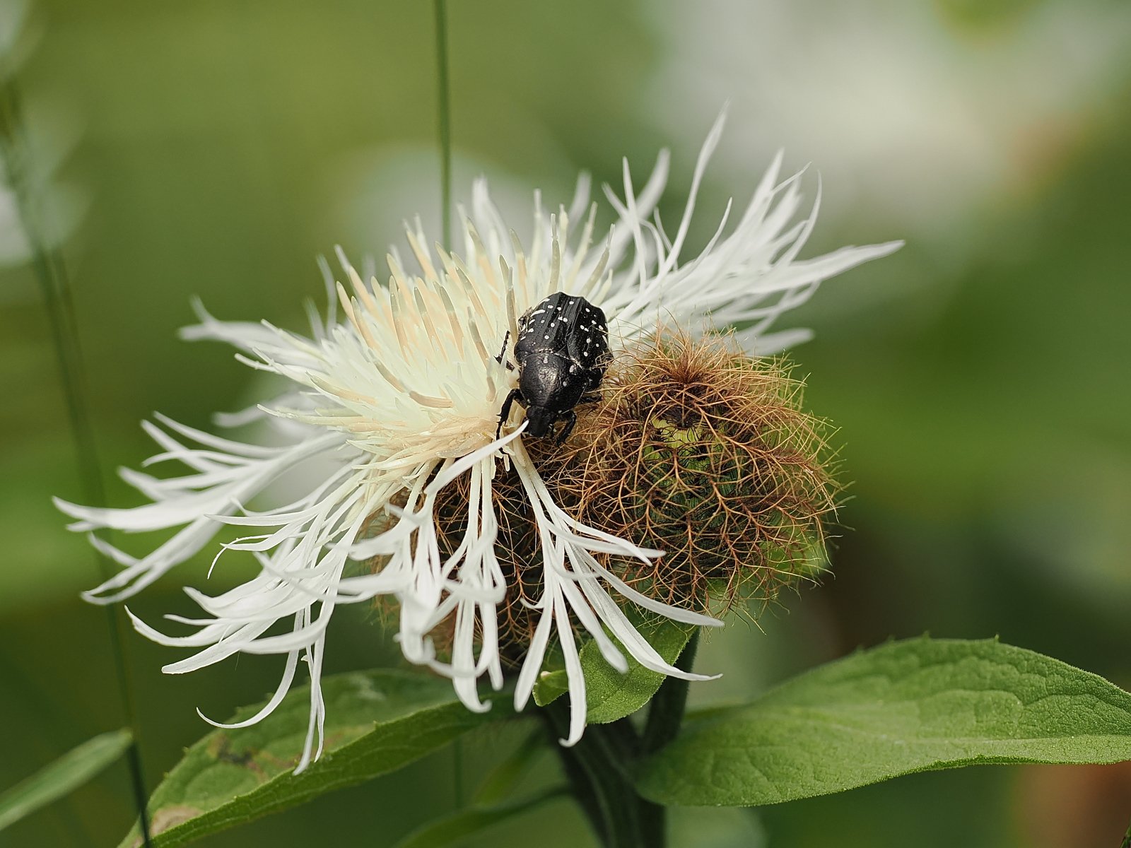 P7130429_ji_web.jpg