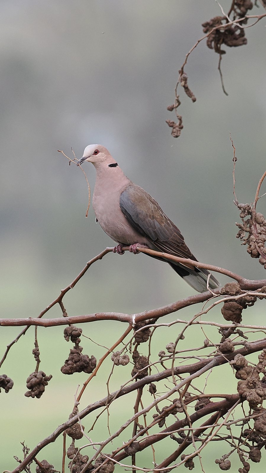 PA110277_ji_web.jpg