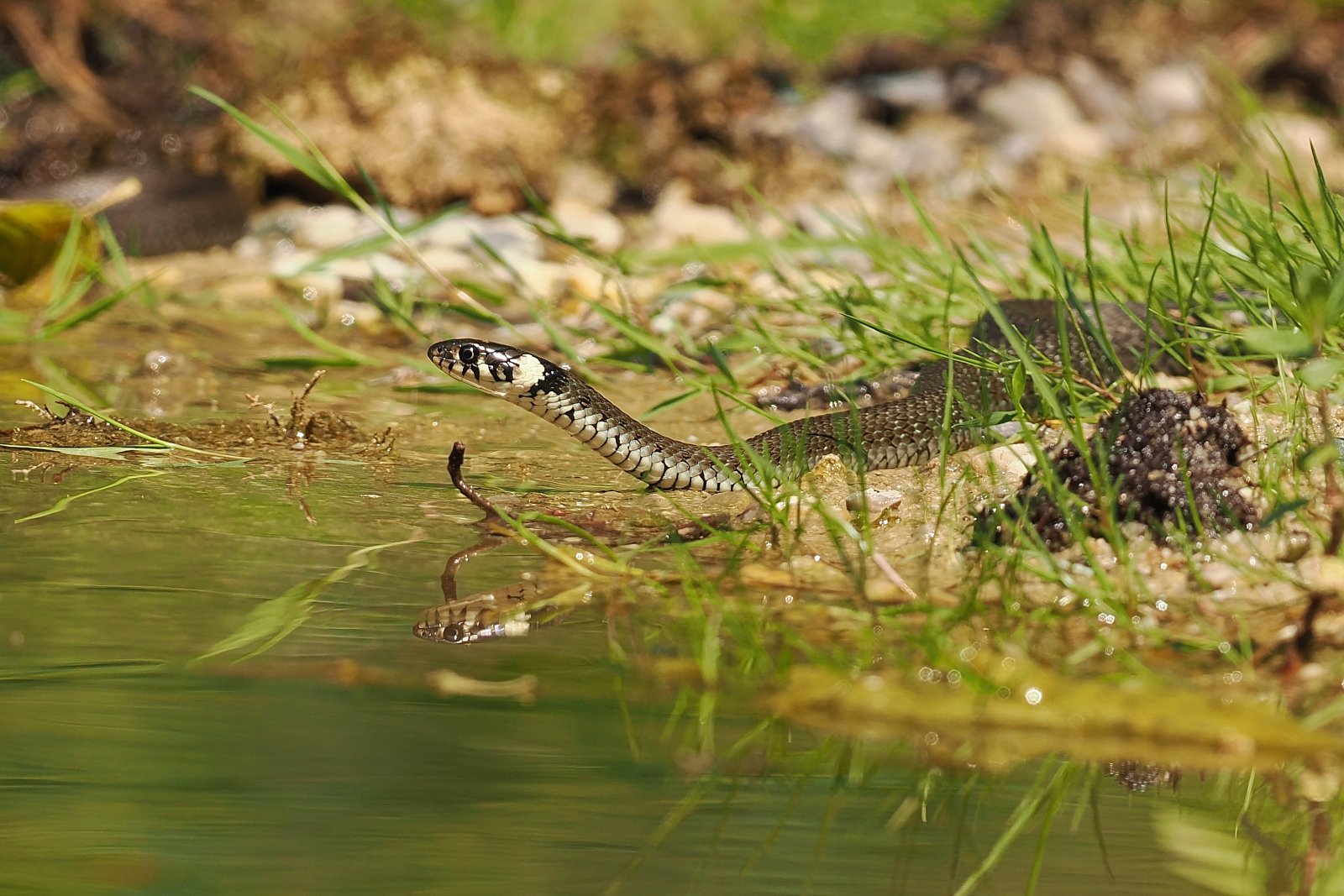 P7250974ii_ji_web.jpg