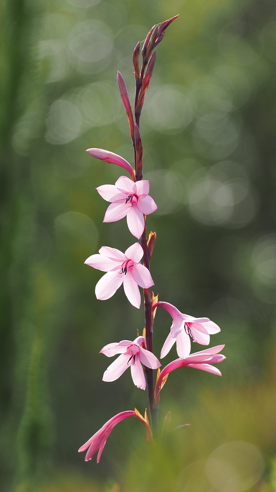 P9300205_ji_web.jpg