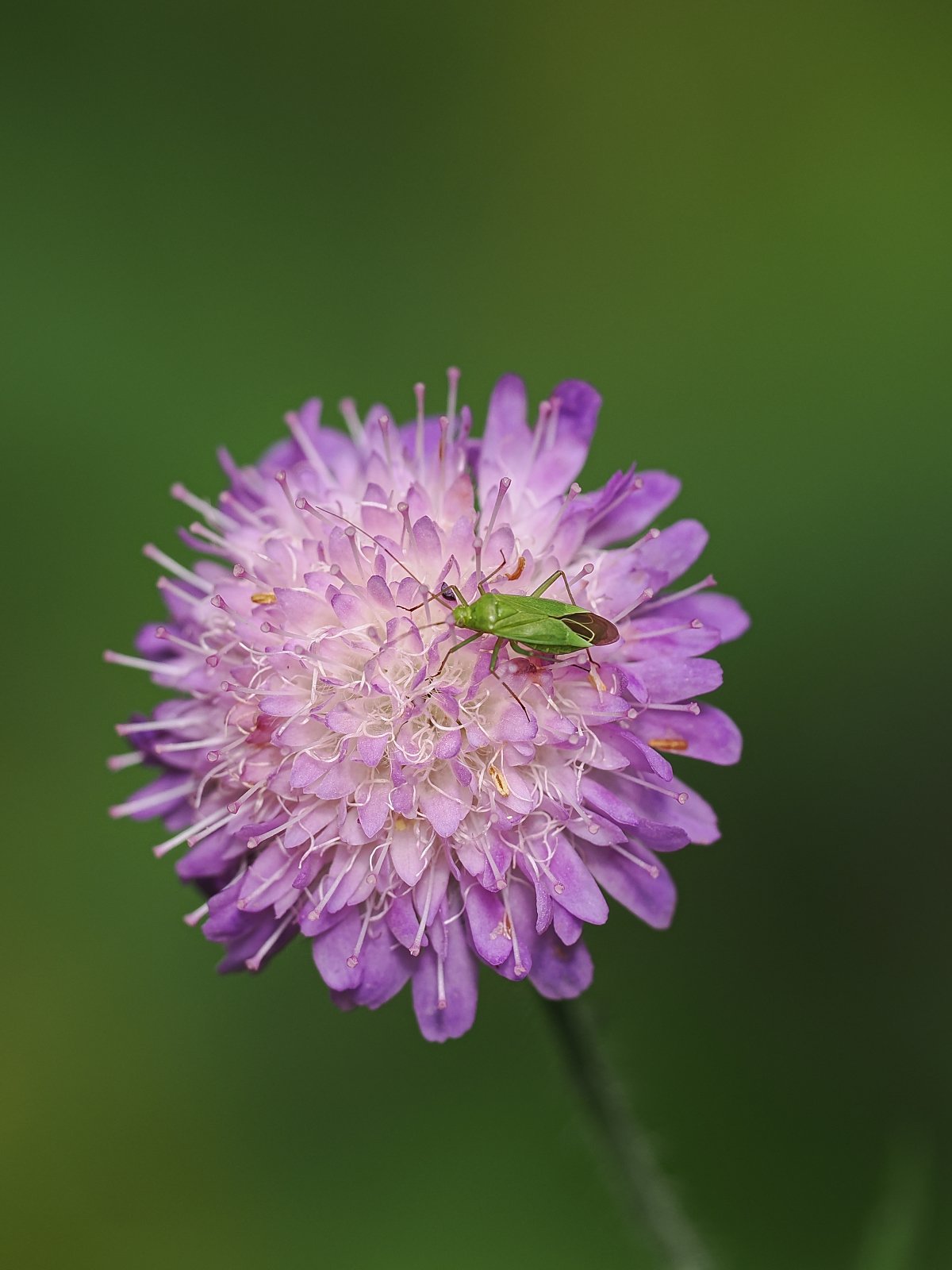 P7080592_ji_web.jpg