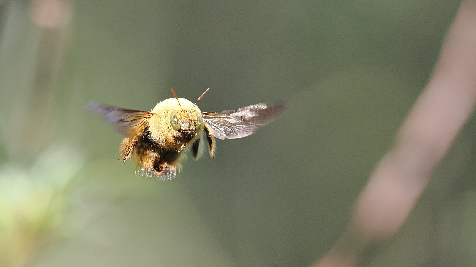 P9290052_ji_web.jpg