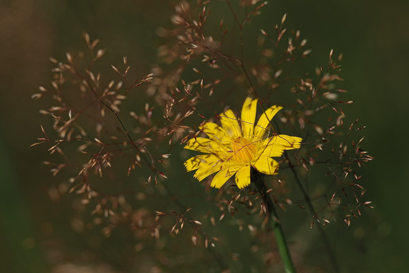 P8110272_ji_web.jpg