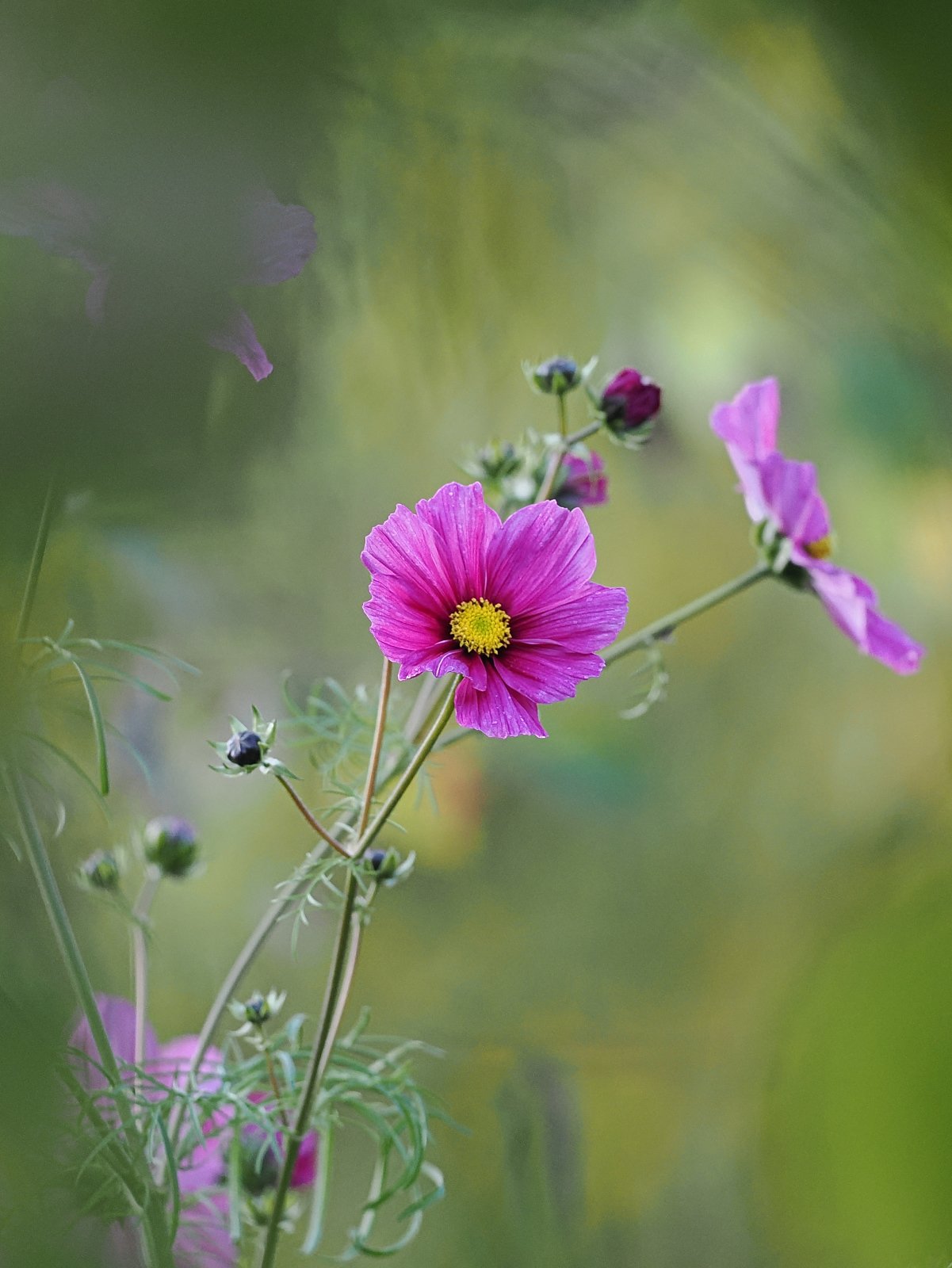 PB030279_ji_web.jpg