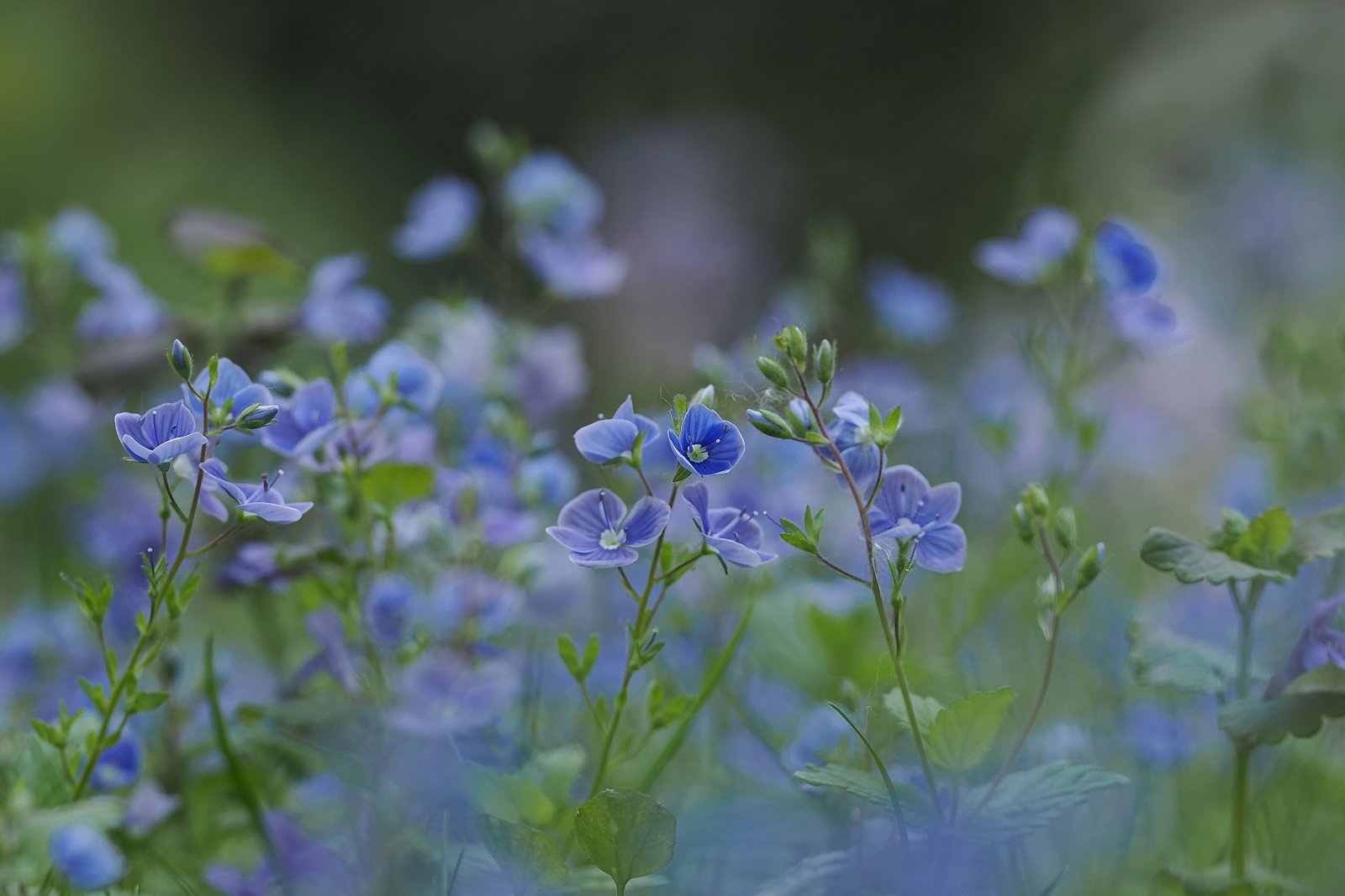 P5010103_ji_web.jpg