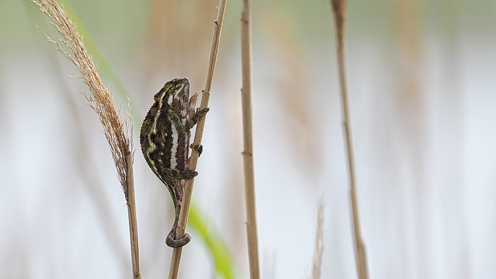 P9271249_ji_web.jpg
