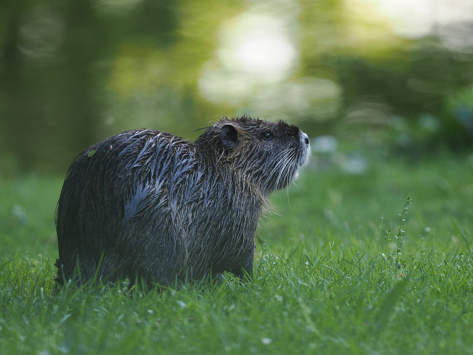 Bunte, vielfältige Tierwelt