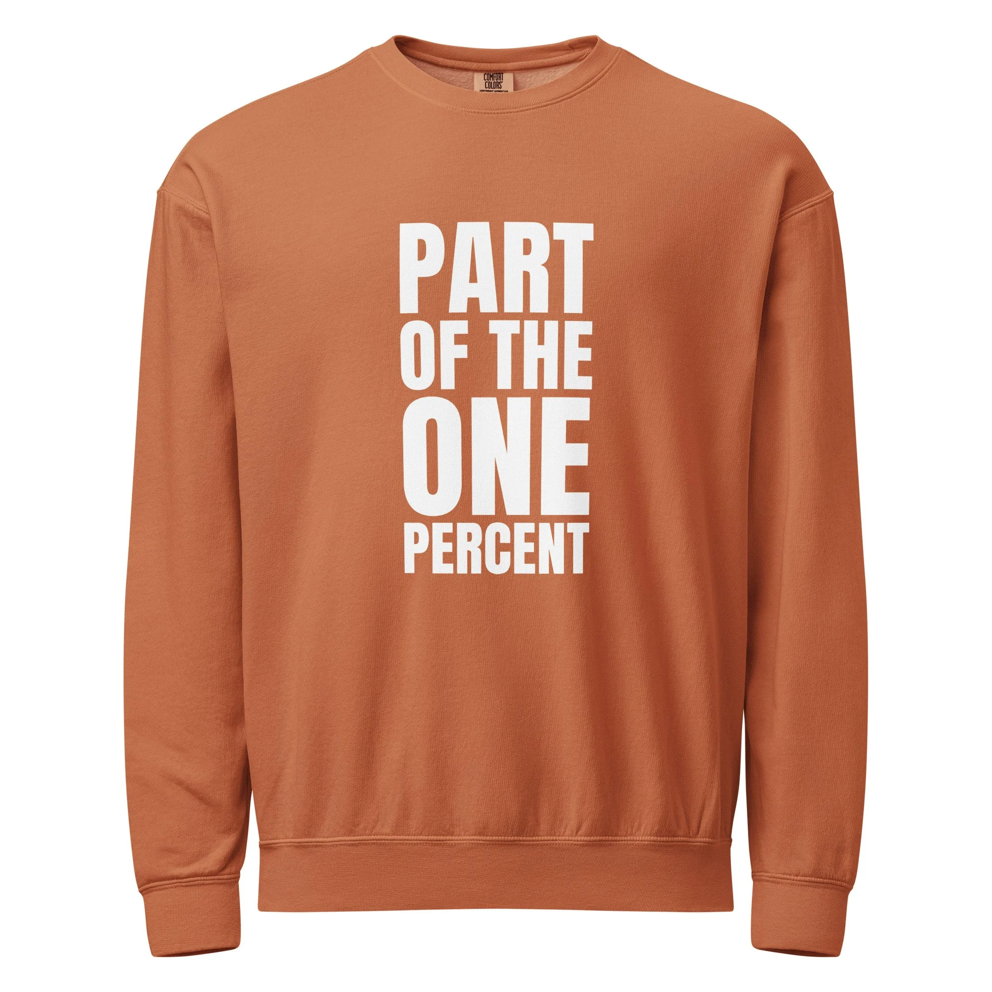 unisex-garment-dyed-lightweight-fleece-crewneck-sweatshirt-i-comfort-colors-1466-yam-front-692f5106878d8.jpg