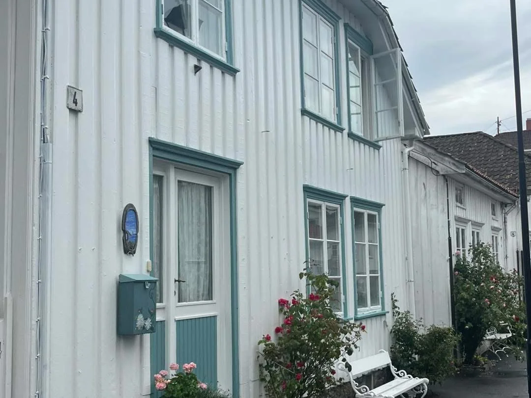 Litt om å gå over til linoljemaling.