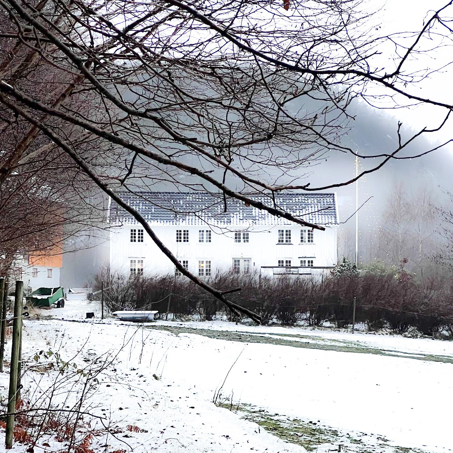 Hvorfor velge linoljemaling