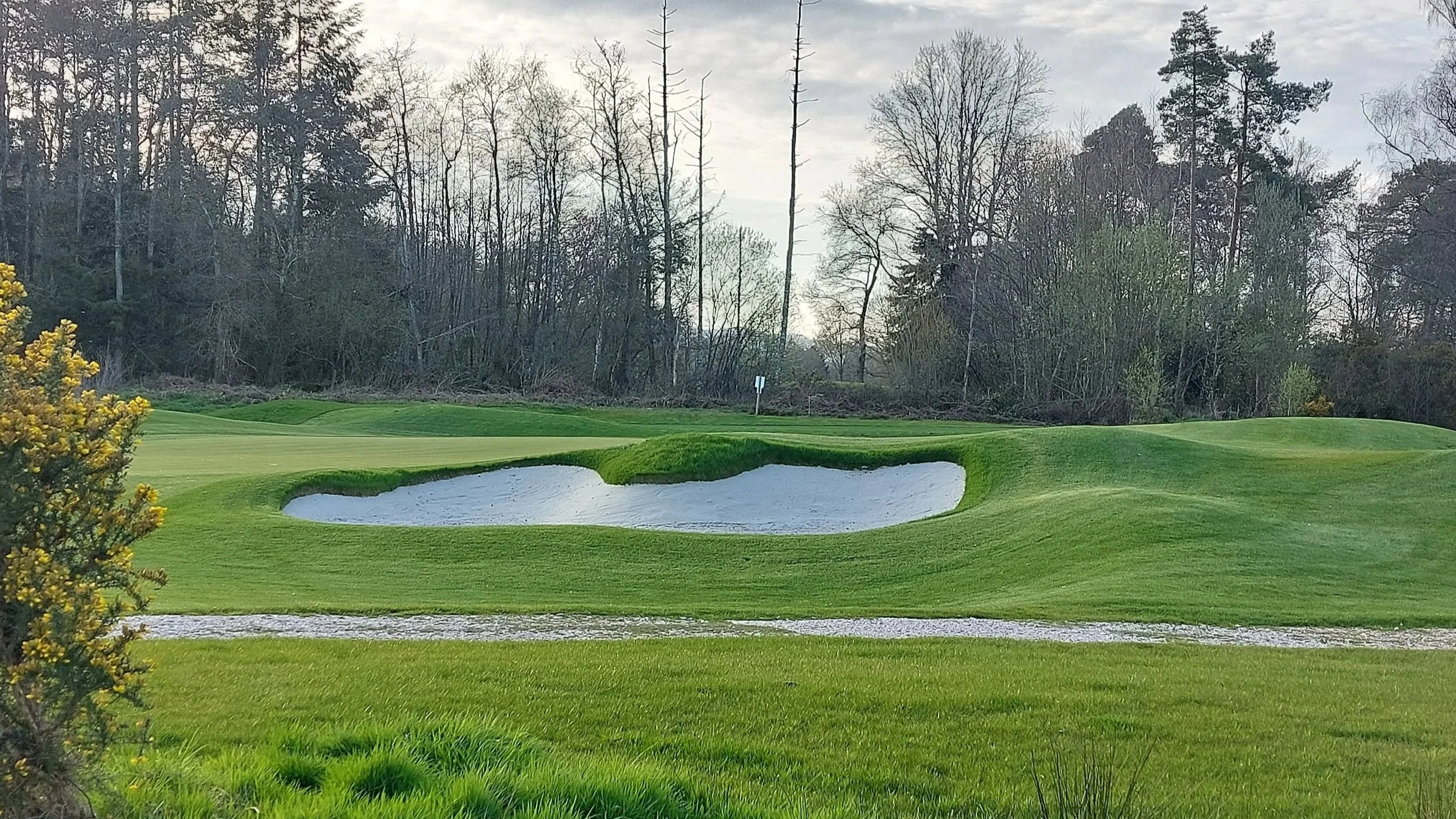 Stover G.C. hole 4