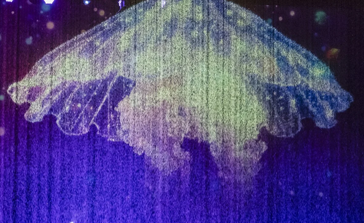 Une luciole illuminée, projetant une lumière vive sur un fond sombre avec des points lumineux bleus et verts.