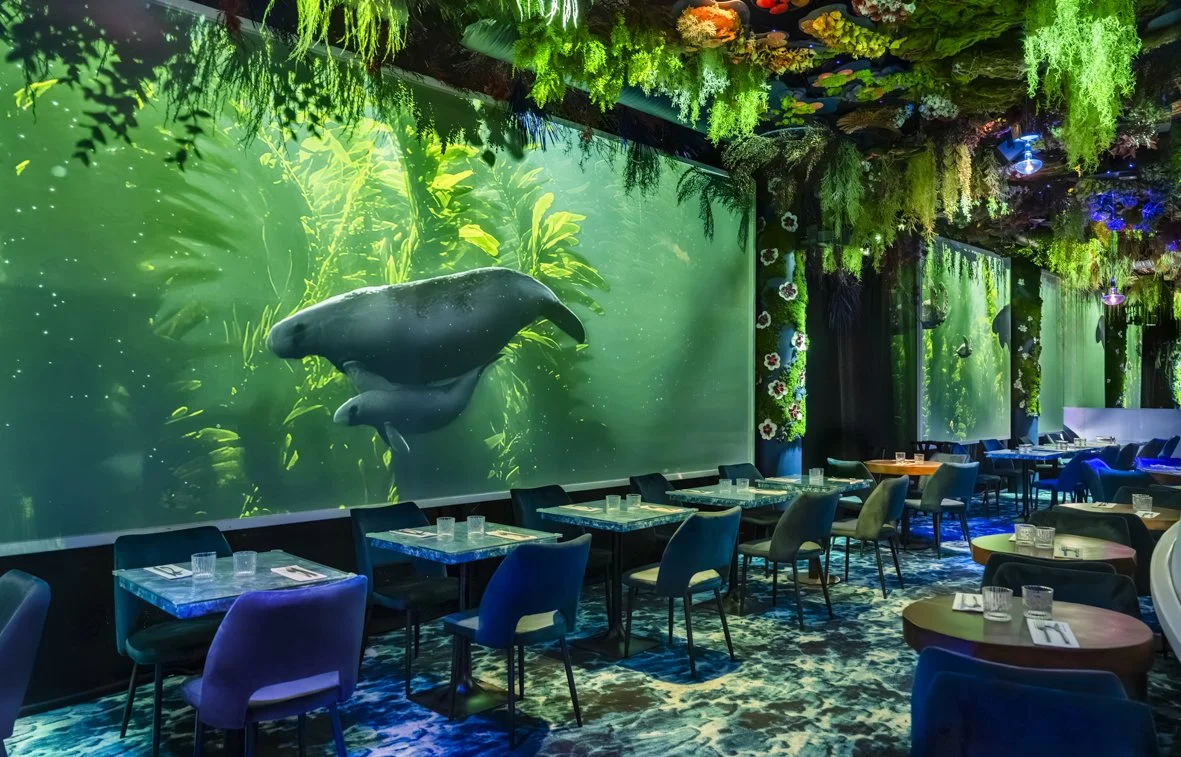Salle de restaurant avec un mur vidéo montrant une scène sous-marine avec des dauphins, décorations florales suspendues, tables et chaises élégantes, ambiance colorée et lumineuse.