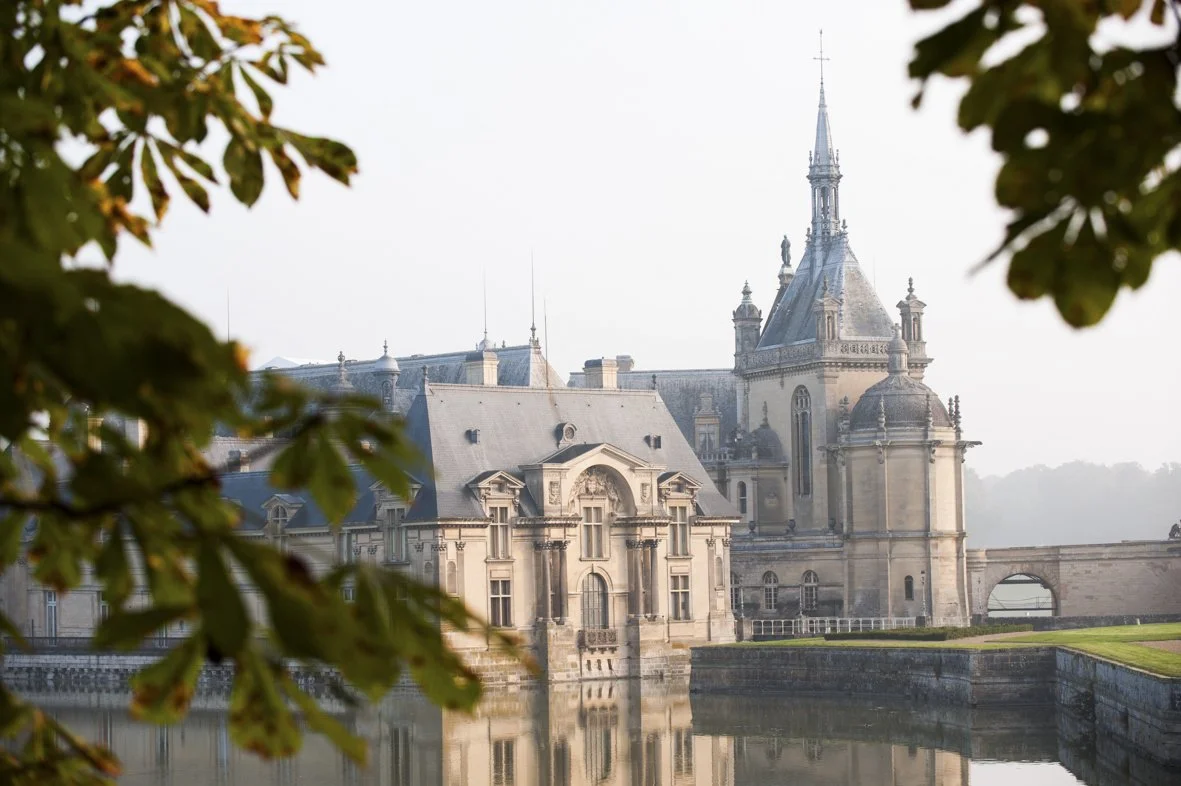 Château historique bordé par un étang avec des feuilles d'arbre en premier plan