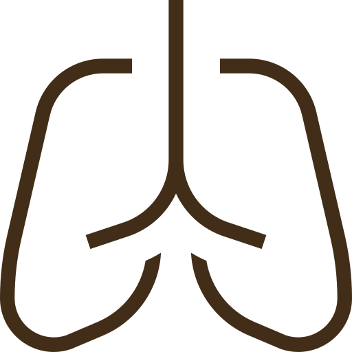 Zeichnung von menschlichen Lungen.