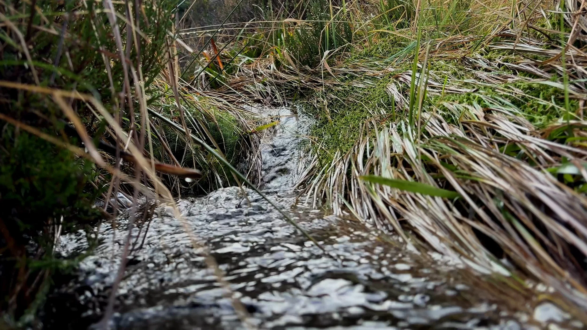 003 - Fine Art - Cover.jpg