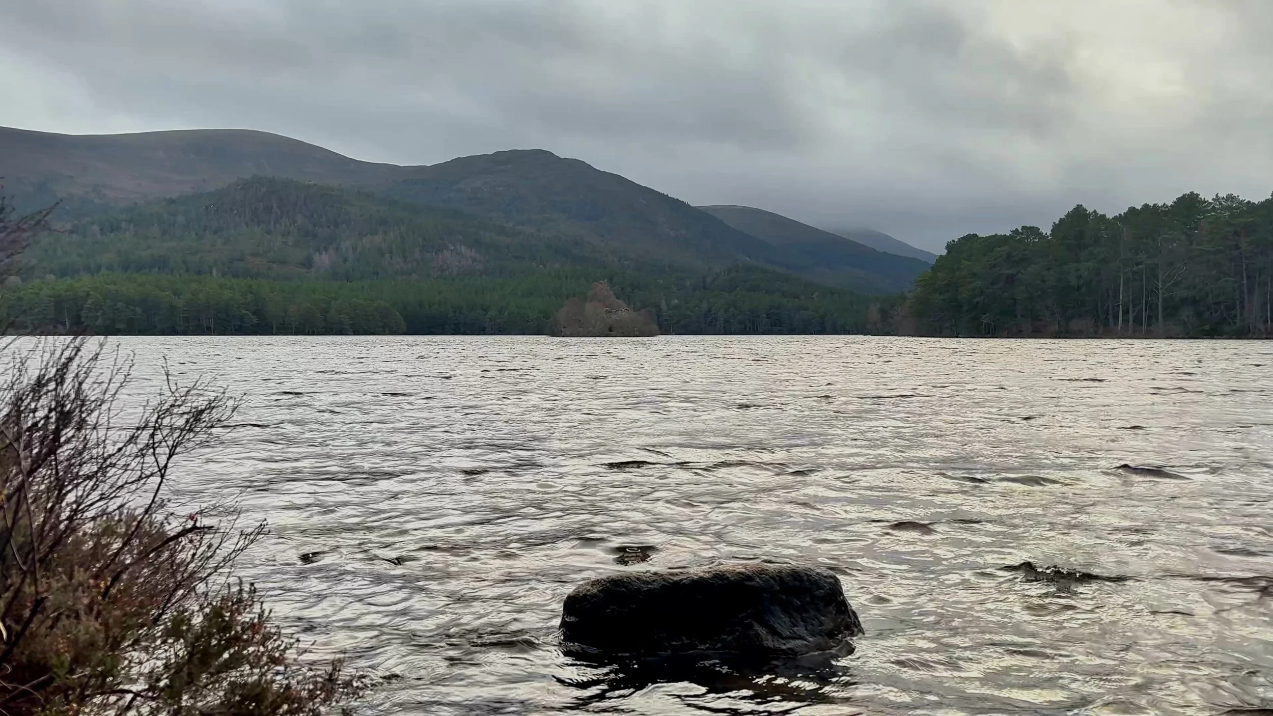 Weather Arrives - Limited Digital Artwork