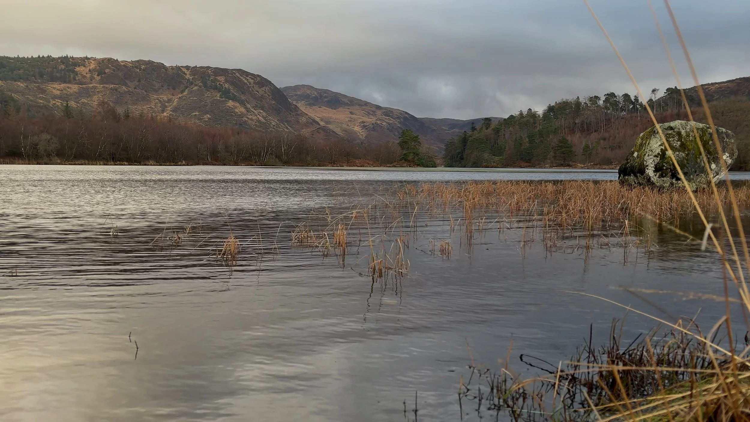 The Water Widens - Limited Digital Artwork