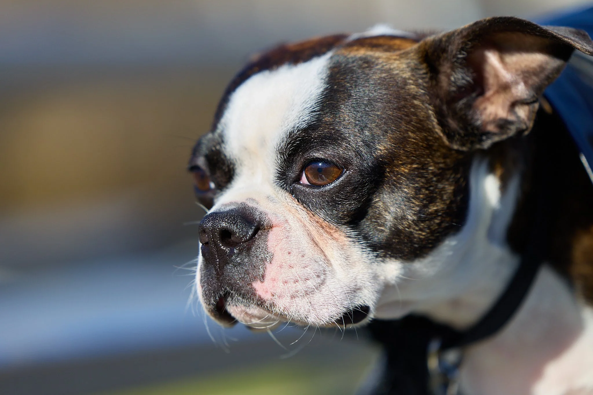 Cherokeee 22_JPEG Quality 100.jpg