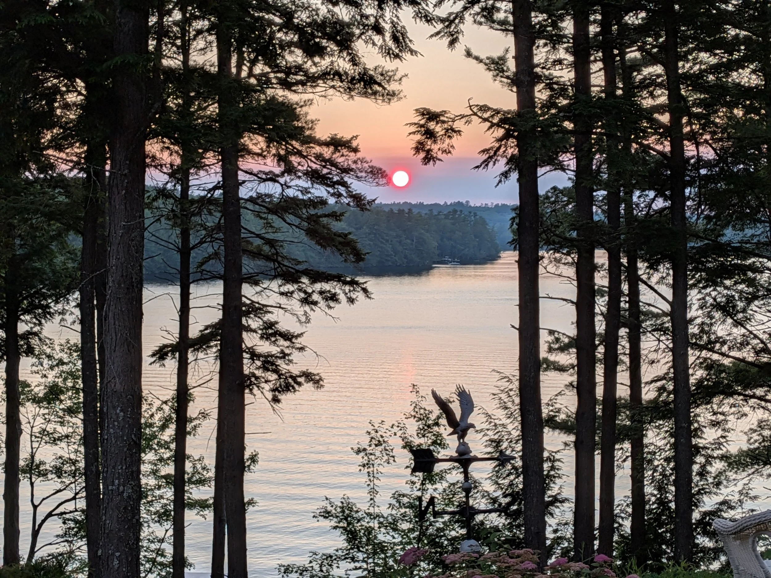 Sunset over a lake seen through tall pine trees, with a weathervane on a stand in the foreground.