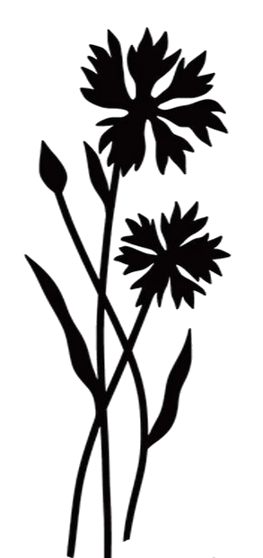 Silhouette of flower