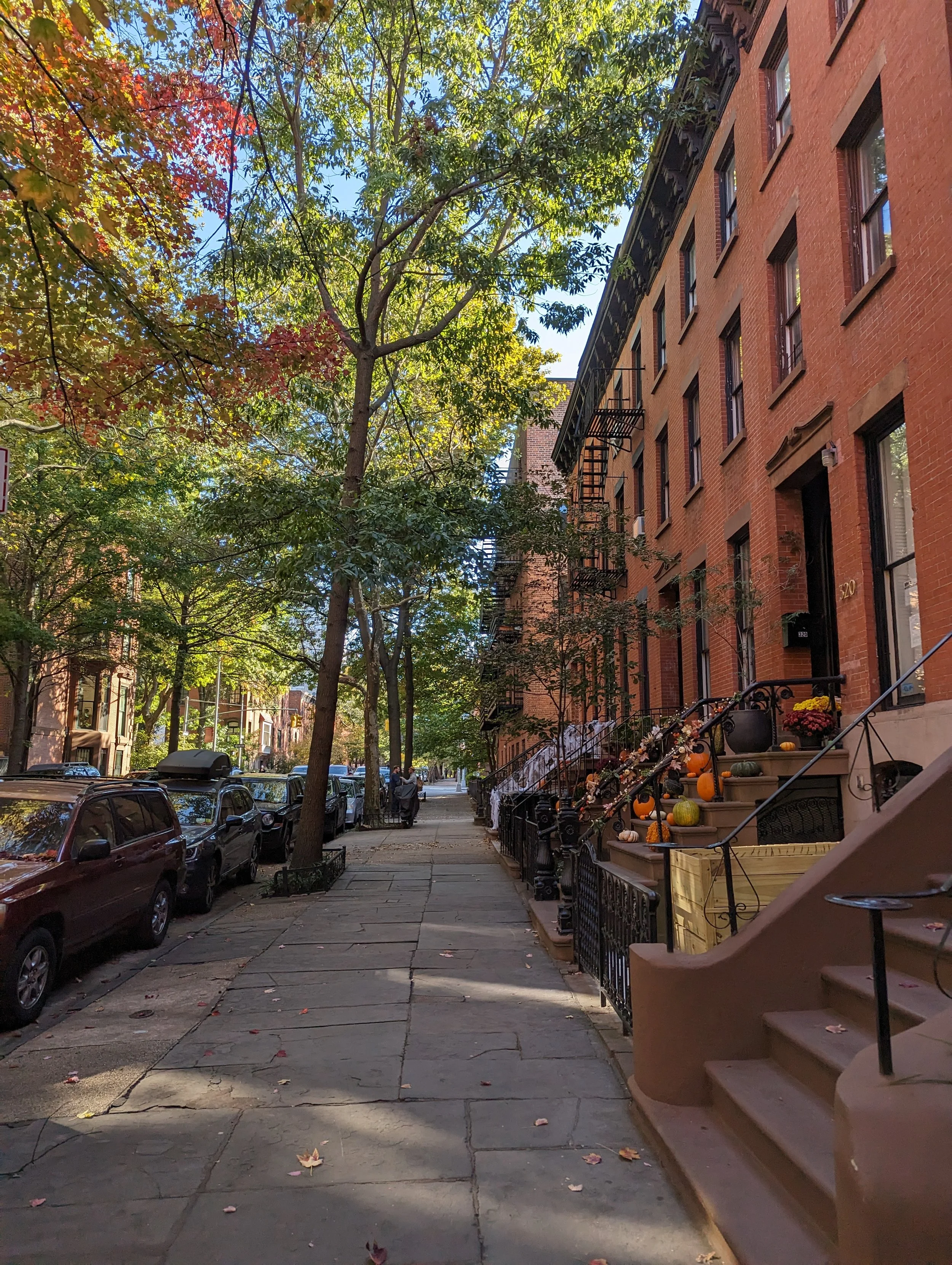 Tree-lined city sidewalk with parked cars, brownstone buildings with fire escapes, and front porch decorated with pumpkins and fall flowers.