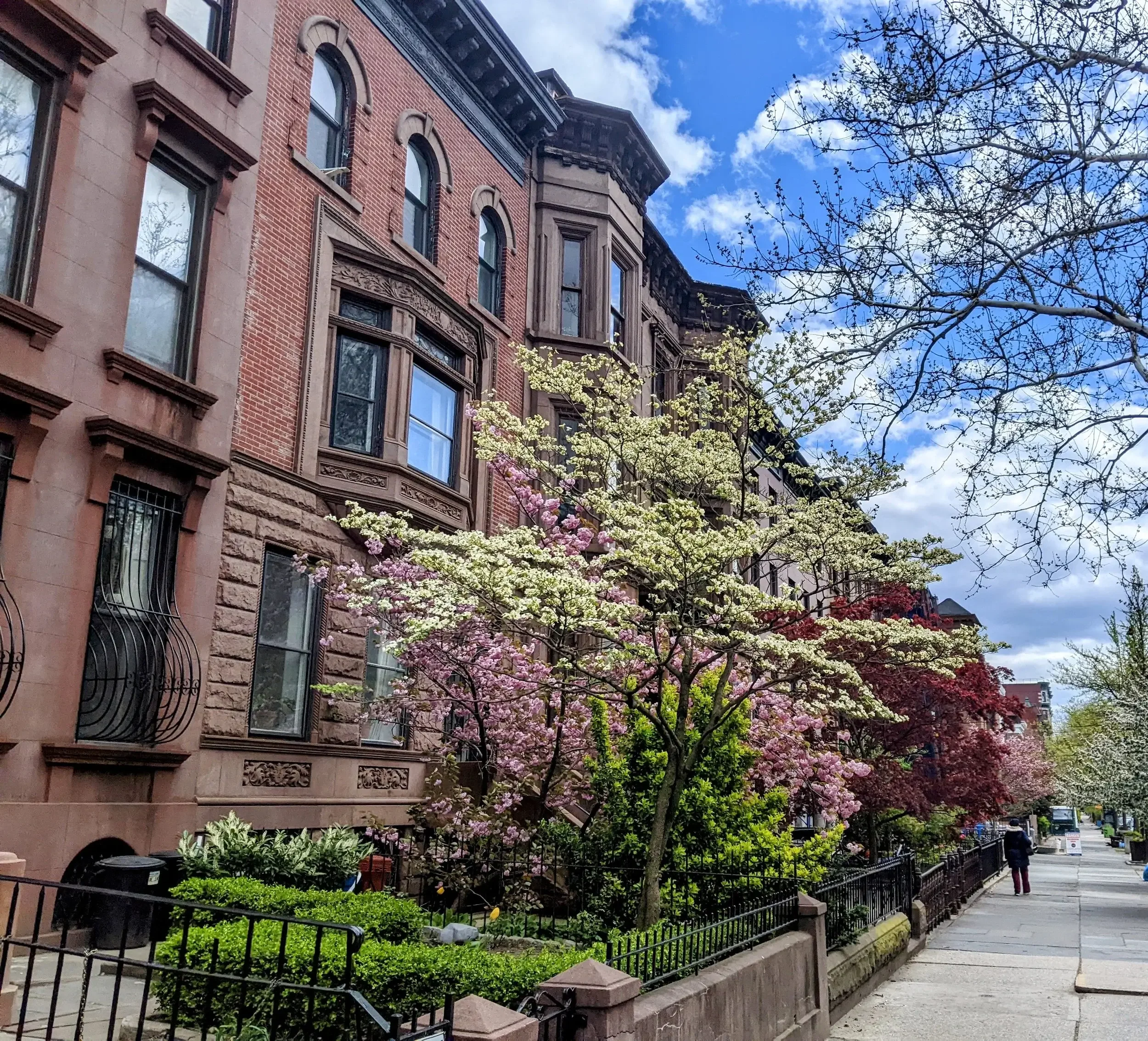 Brooklyn brownstones in Fort Greene neighborhood where in-person therapy is offered