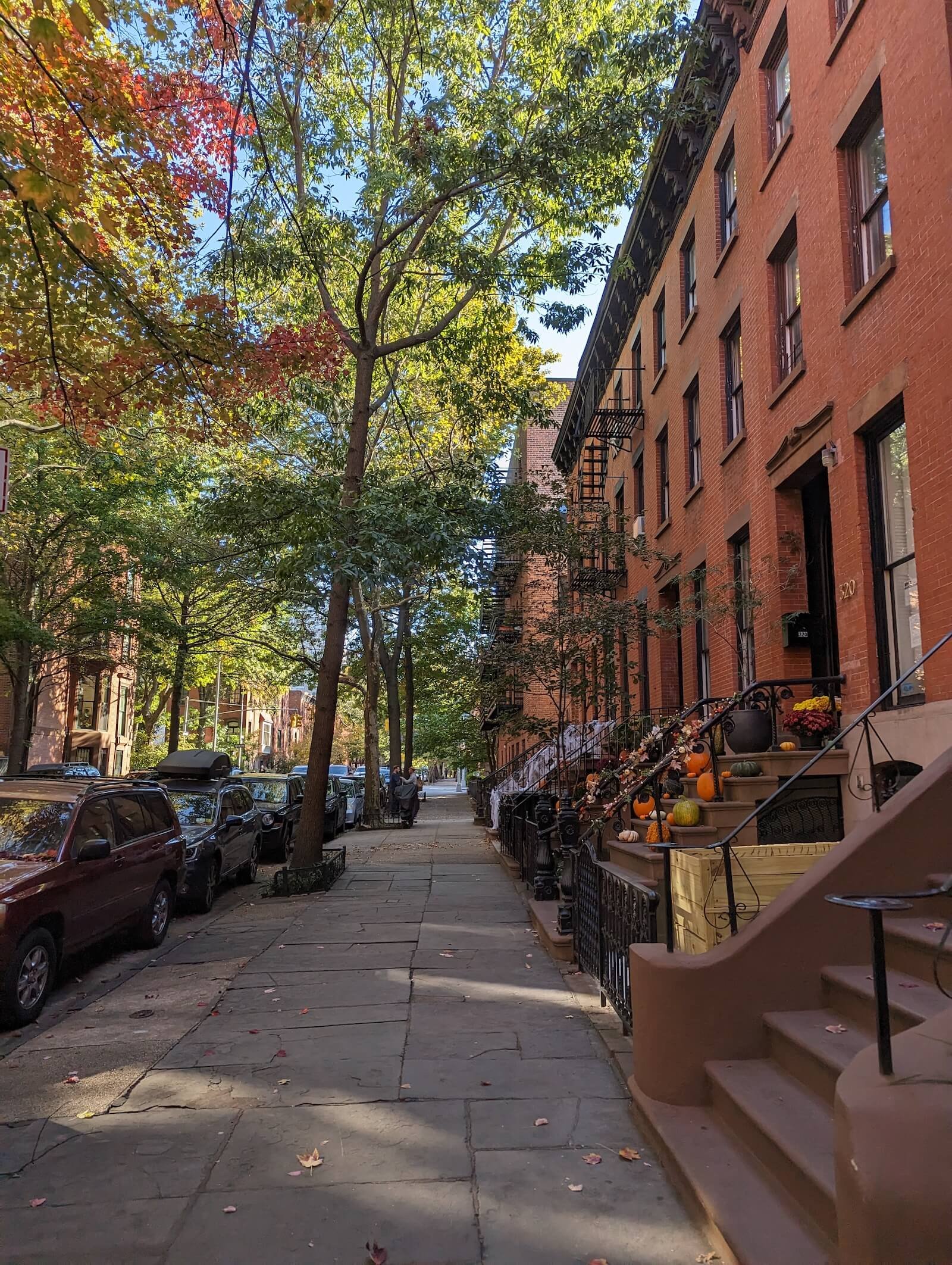 Tree-lined city sidewalk in neighborhood where in-person and virtual therapy is offered, with parked cars, brownstone buildings, and front porch decorated with pumpkins and fall flowers.
